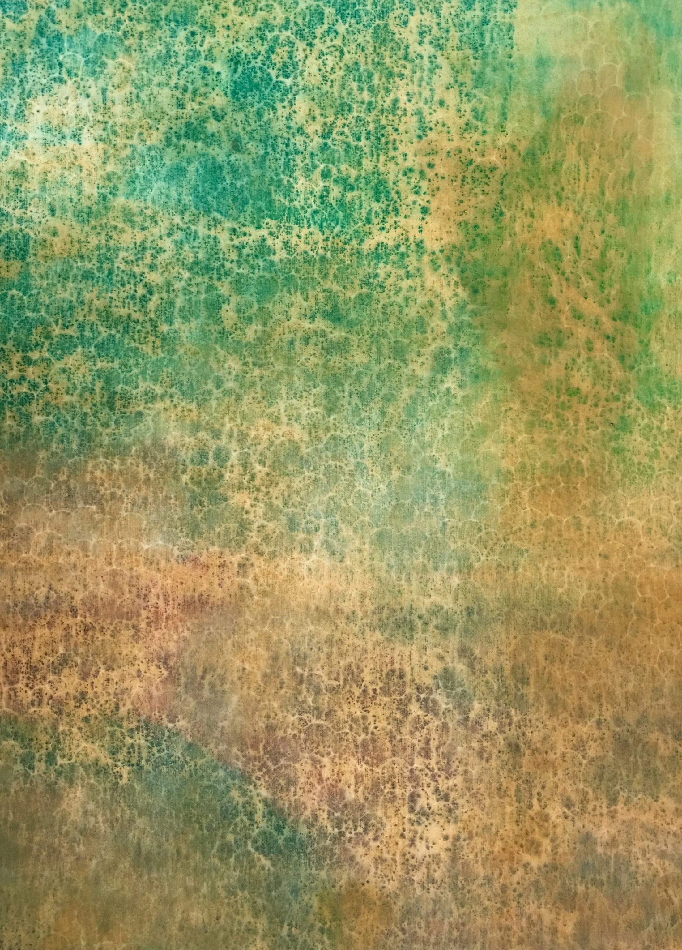 "Untitled Scales"