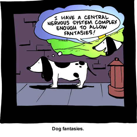Animal Cognition