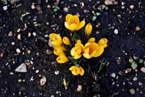 image002_1.jpg