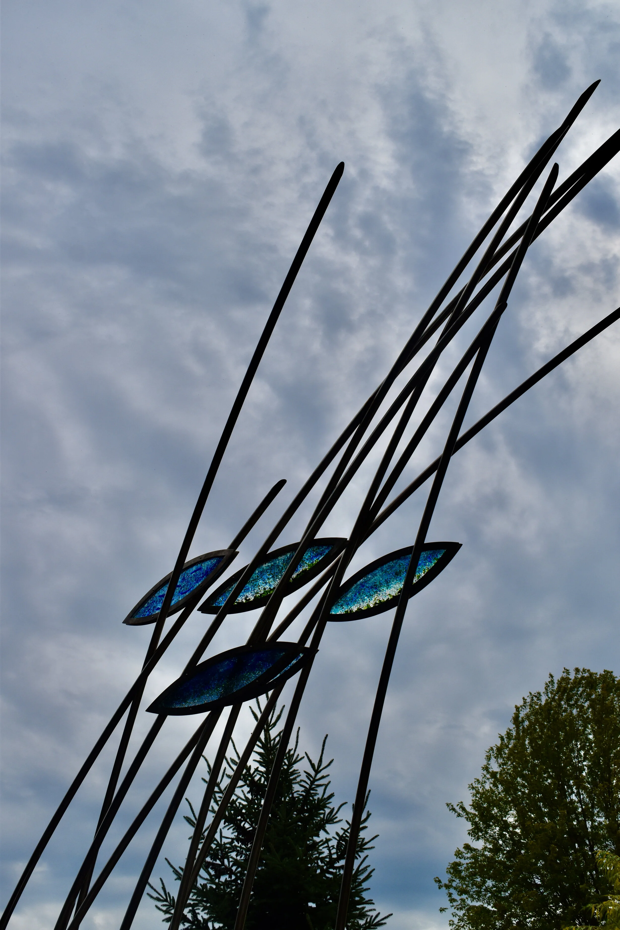 DSC_0335.JPG