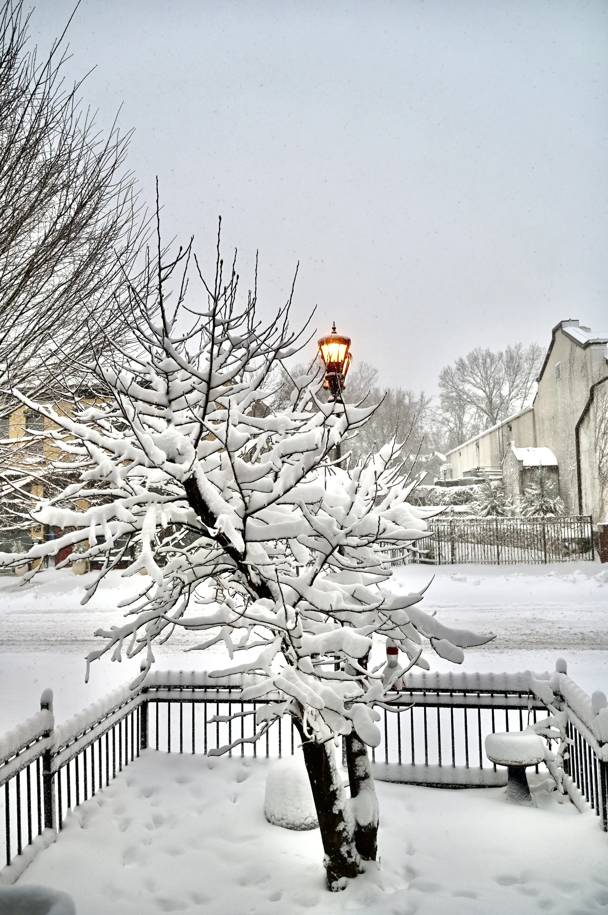 Surprise Spring Blizzard