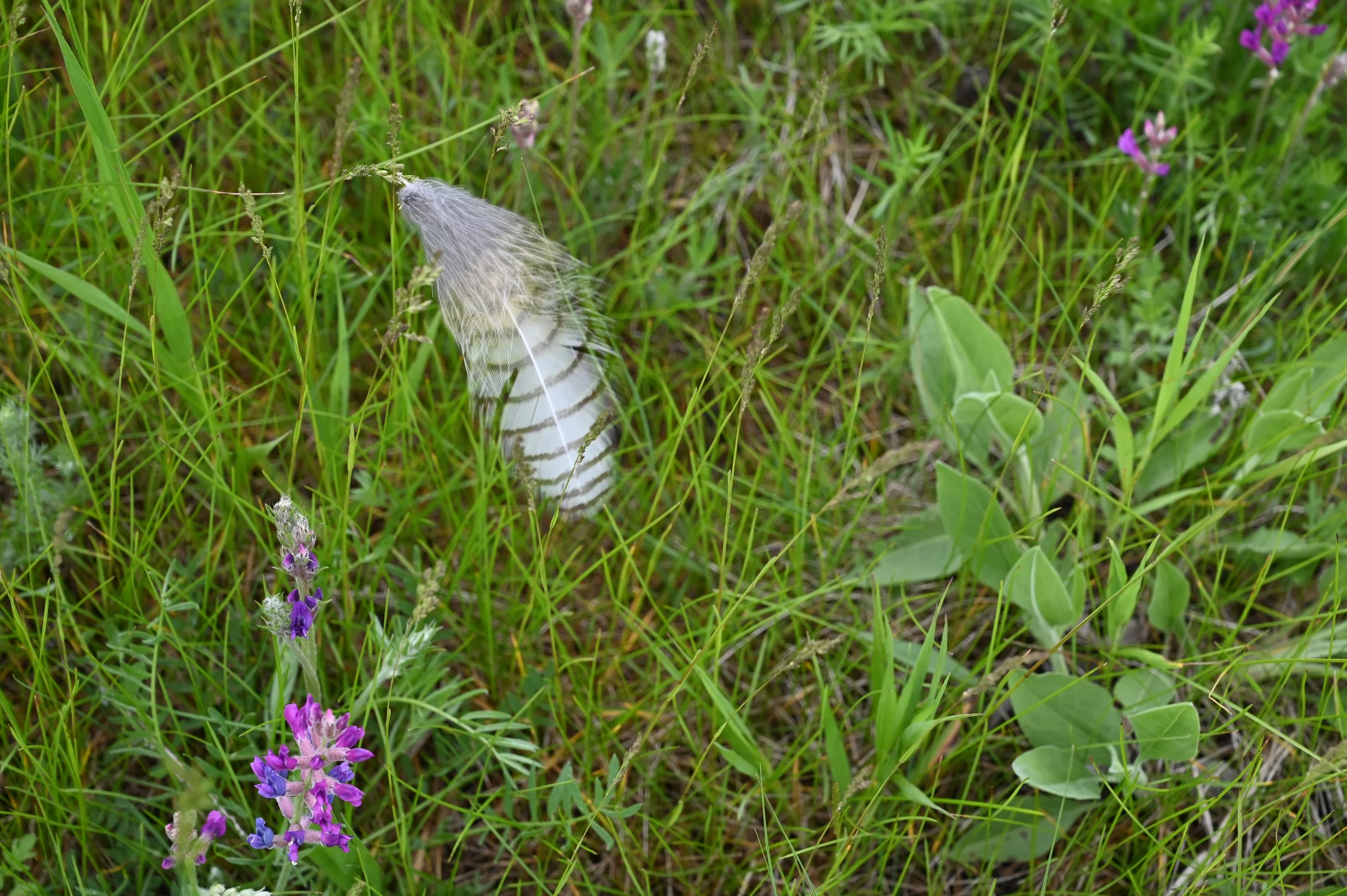 Glacial "Praire Potholes"