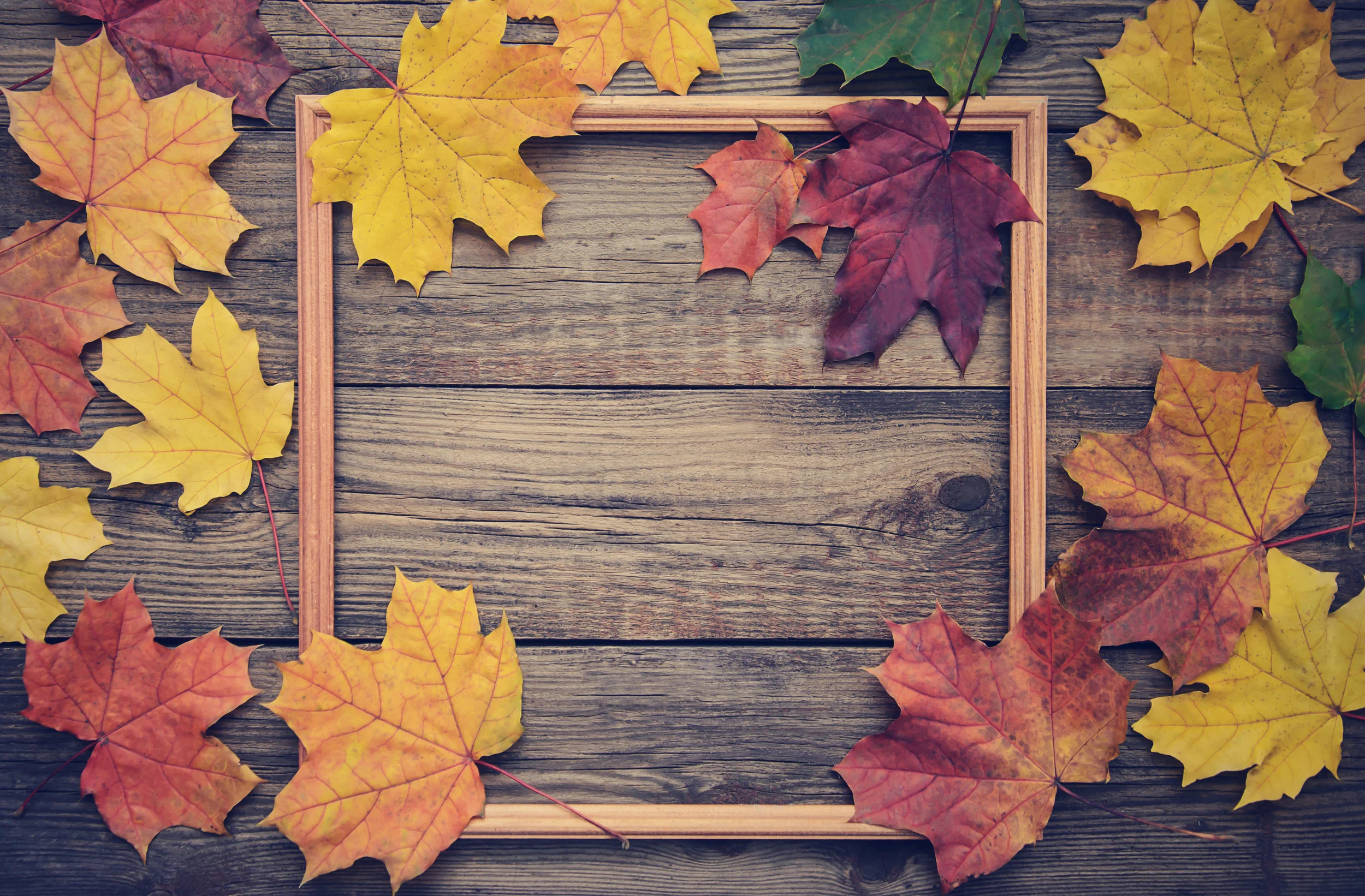 AdobeStock_220510205.jpeg