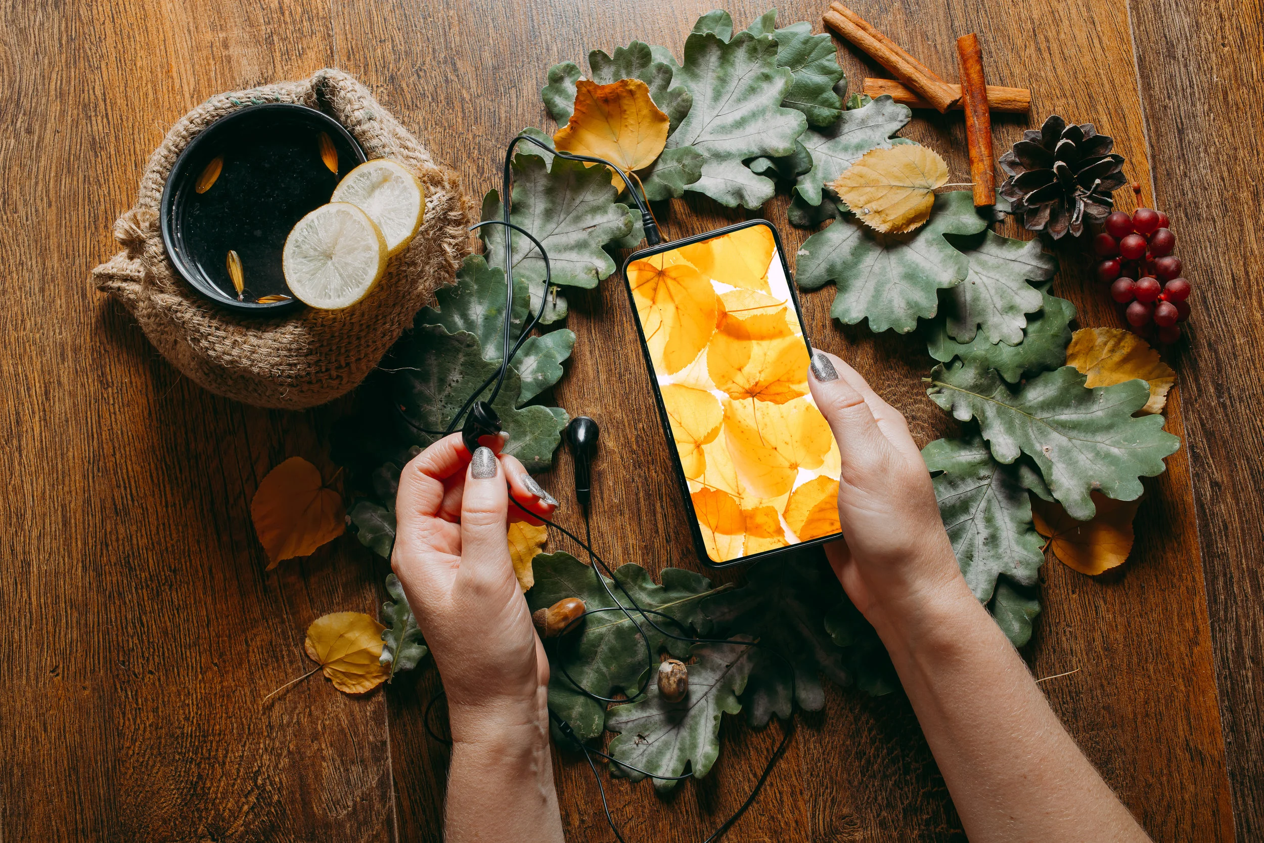 AdobeStock_219336965.jpeg