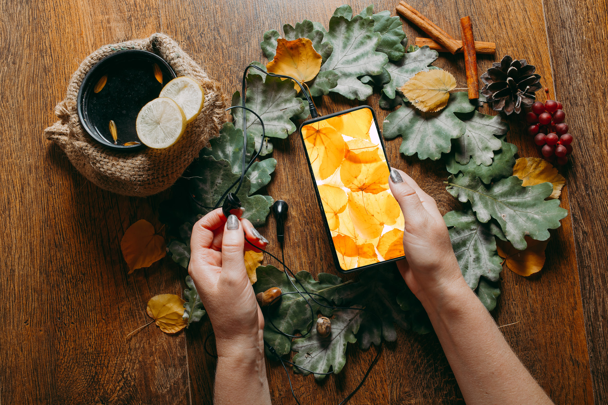 AdobeStock_219336965.jpeg