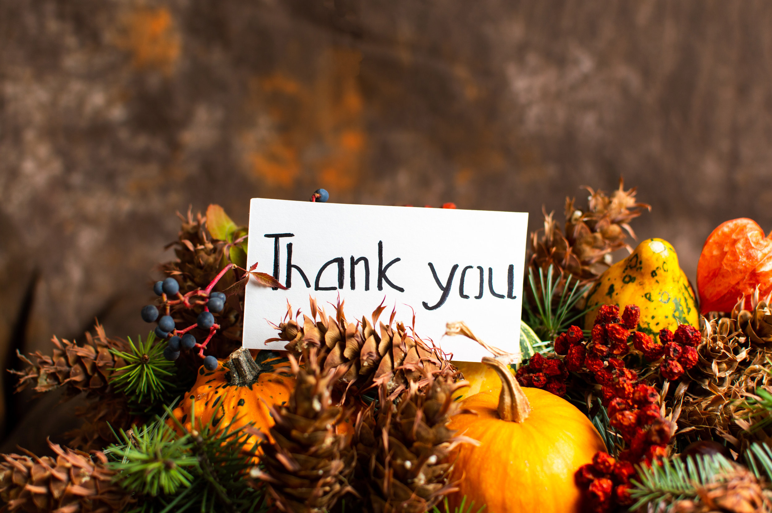 AdobeStock_229711134.jpeg