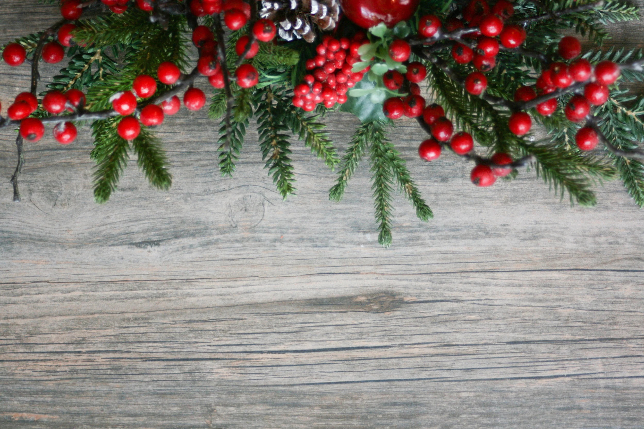 AdobeStock_182121808.jpeg