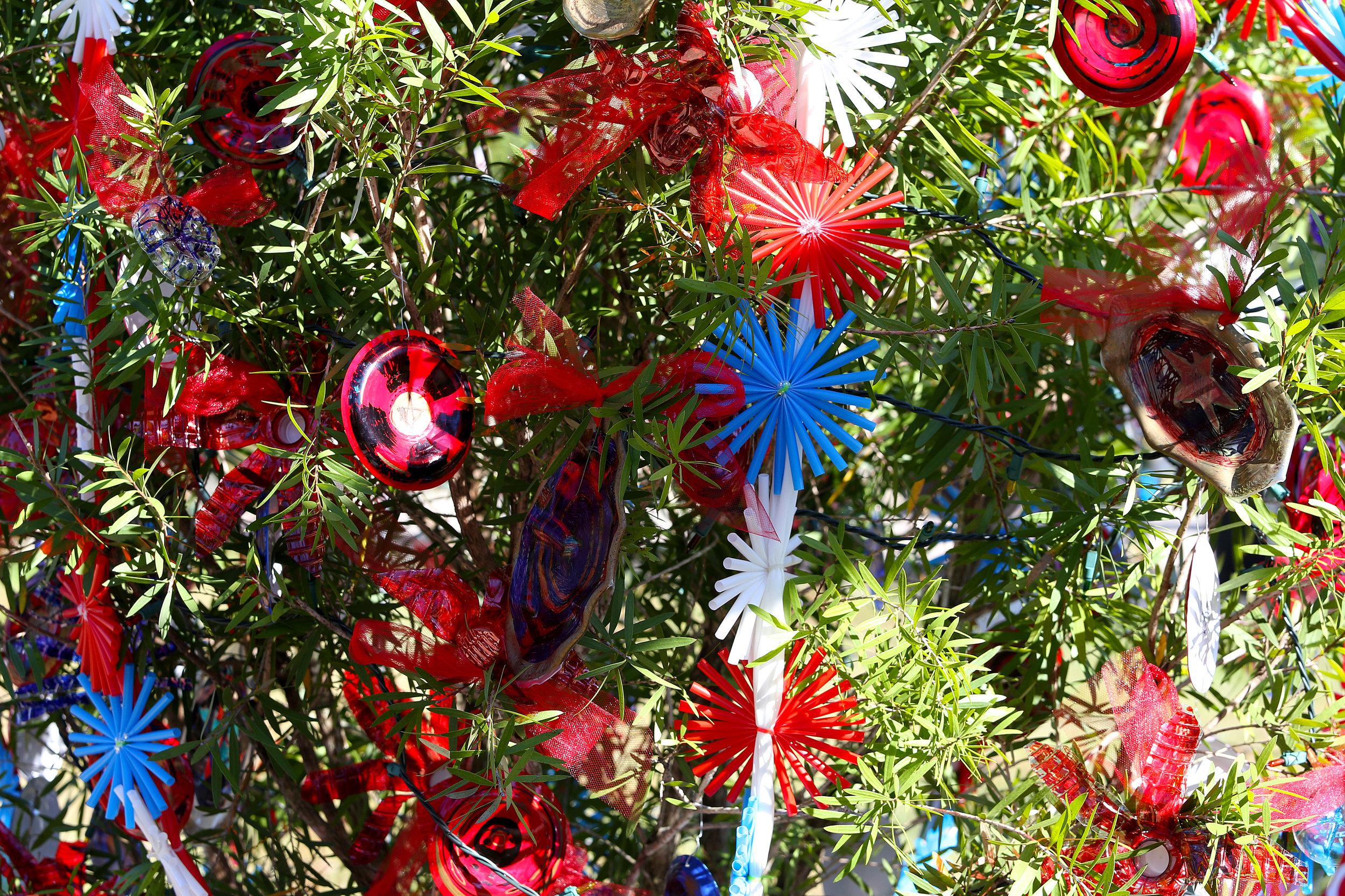 AdobeStock_184150790.jpeg