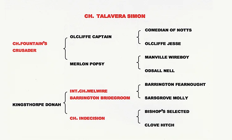 PEDIGREE OF CH TALAVERA SIMON