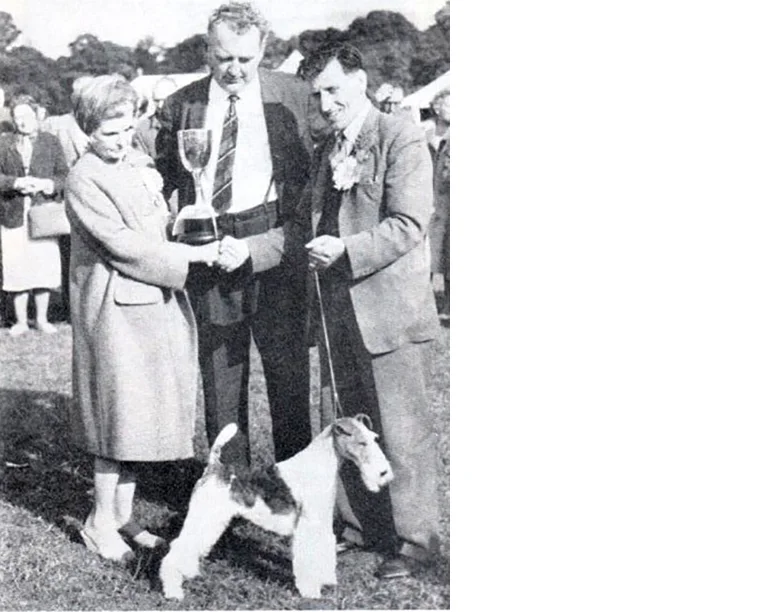 CH Zeloy Emperor winning Best In show at Cardiff, Wales in 1962 under judge Fenton Fitzgerald , handled by Tommy BrAmpton.