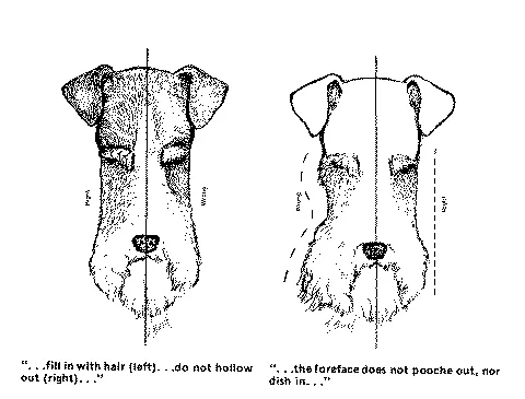 Diagram_H.jpg