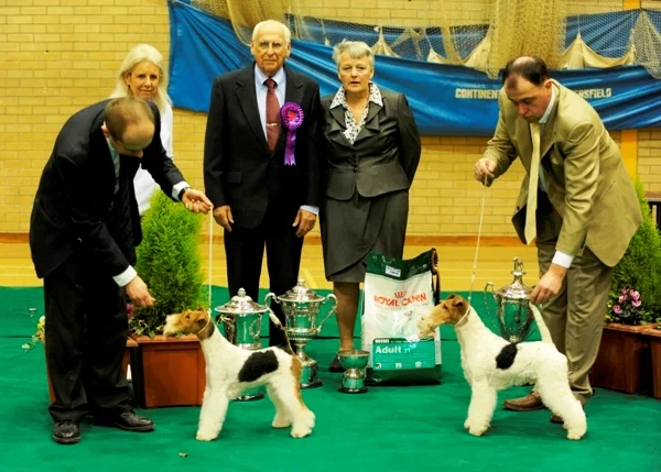 Mr Bousek, judging the WFTA Championship Show in 2010