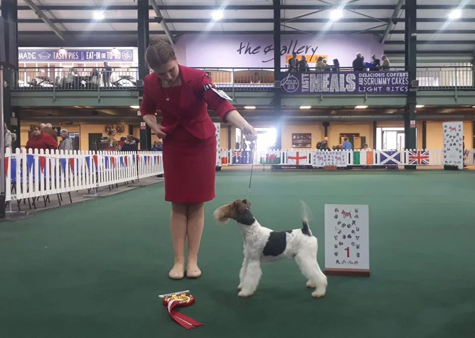 Poppy Wynter with Robelroy Many Dreams At Furlongfox winning Best Special Beginner In Show