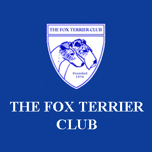 The Fox Terrier Club Championship Show 2021