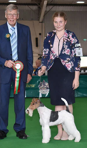 Miss P Wynter handling Best Of Breed winner Robelroy Many Dreams At Furlongfox with SpBeg Judge Mr J Carter