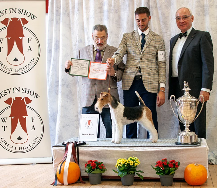 WFTA 98th Championship Show Results