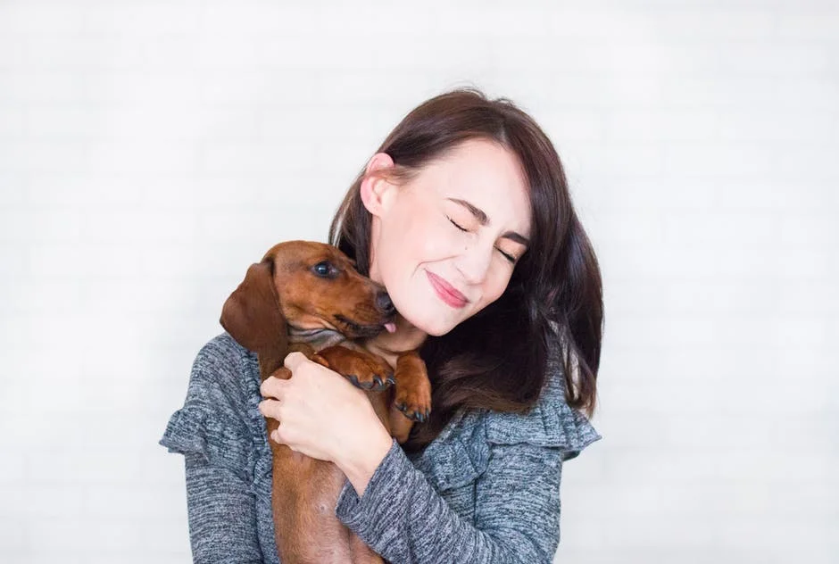 pet+sitter.jpeg
