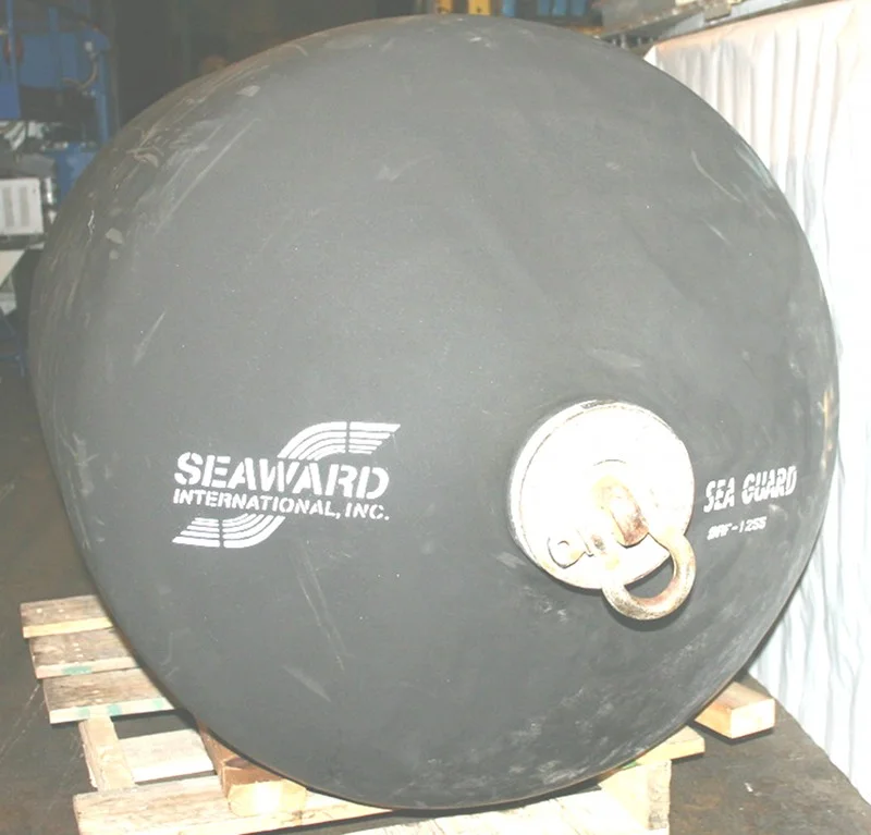 Seaguard 1.JPG