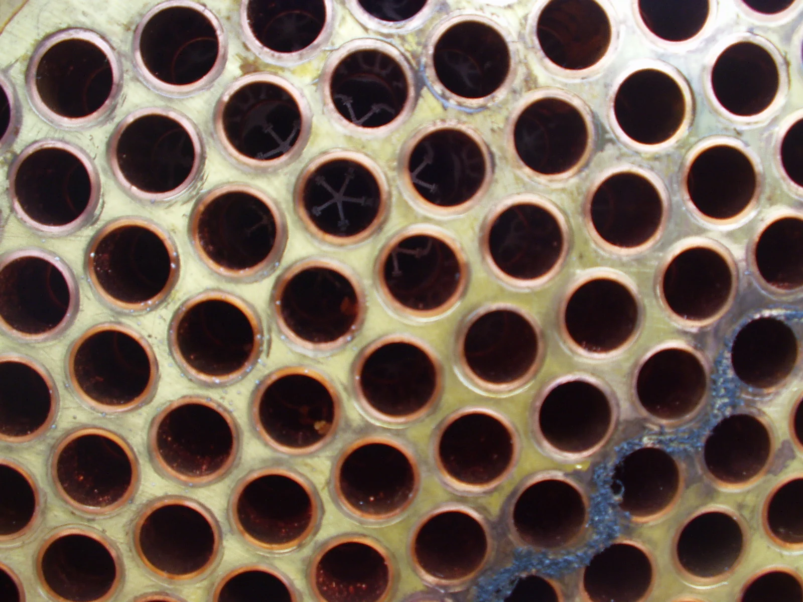 Reefer Cooler - Eric Rich 3.JPG