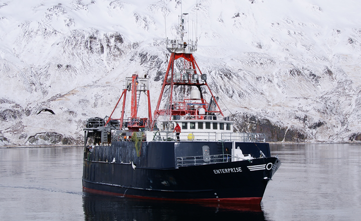 Fishing Fleet