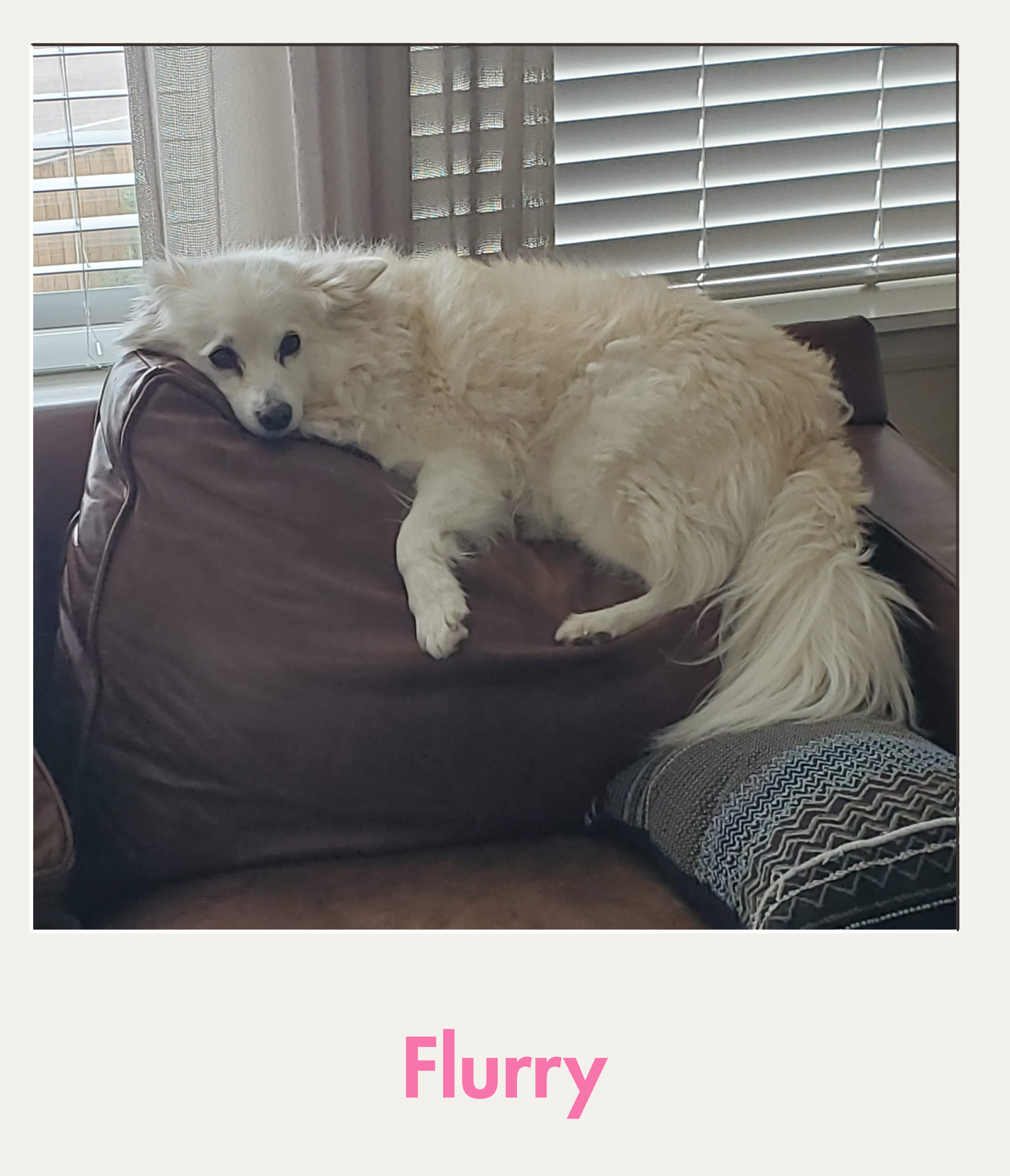 Flurry.png