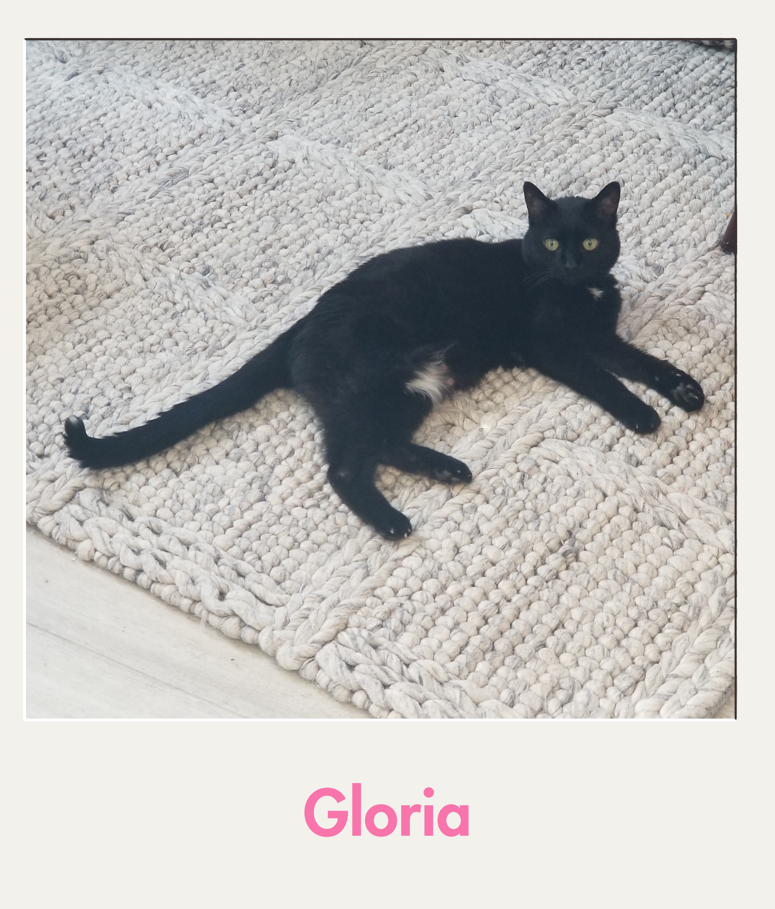 Gloria .png