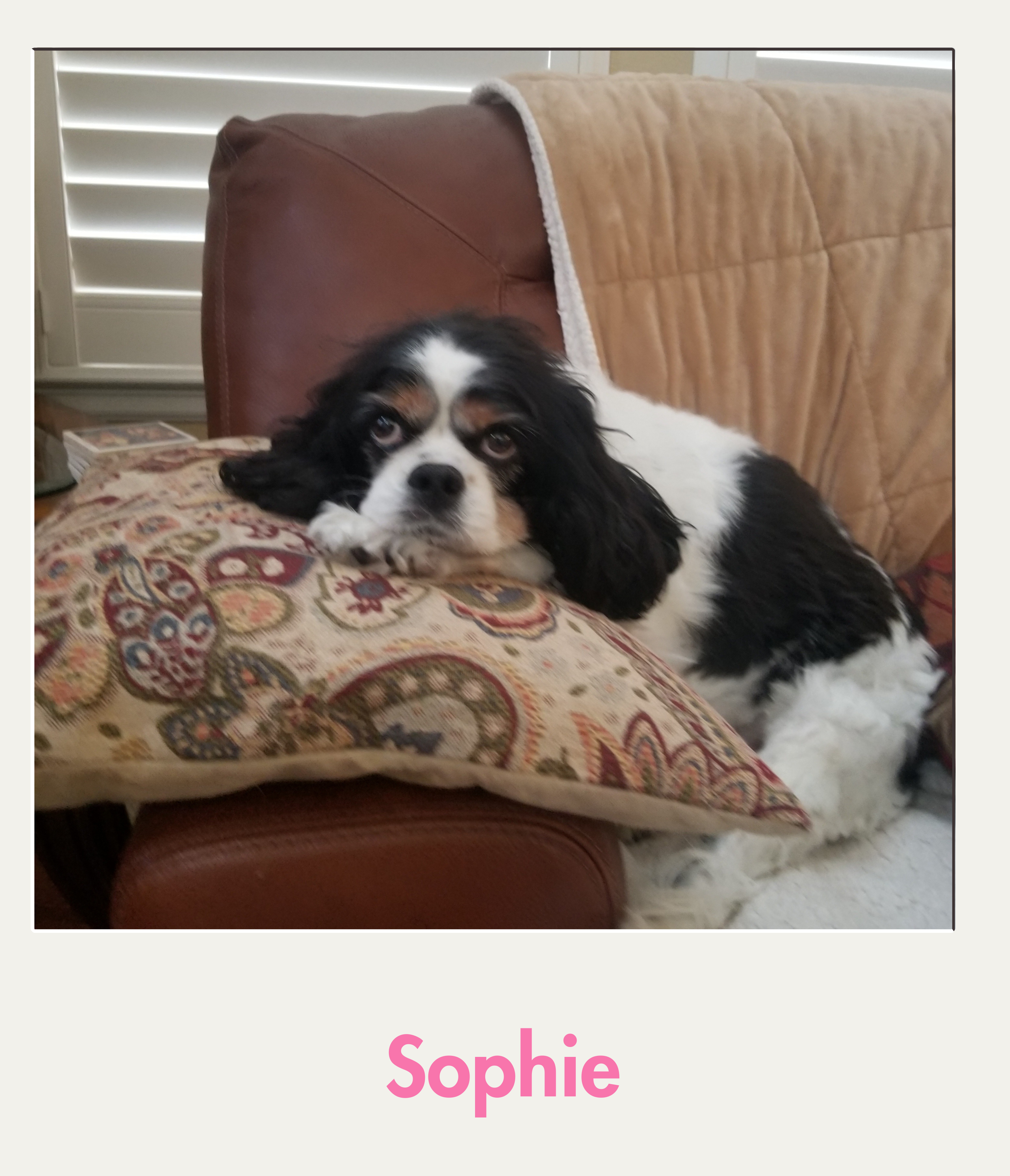 Sophie.png