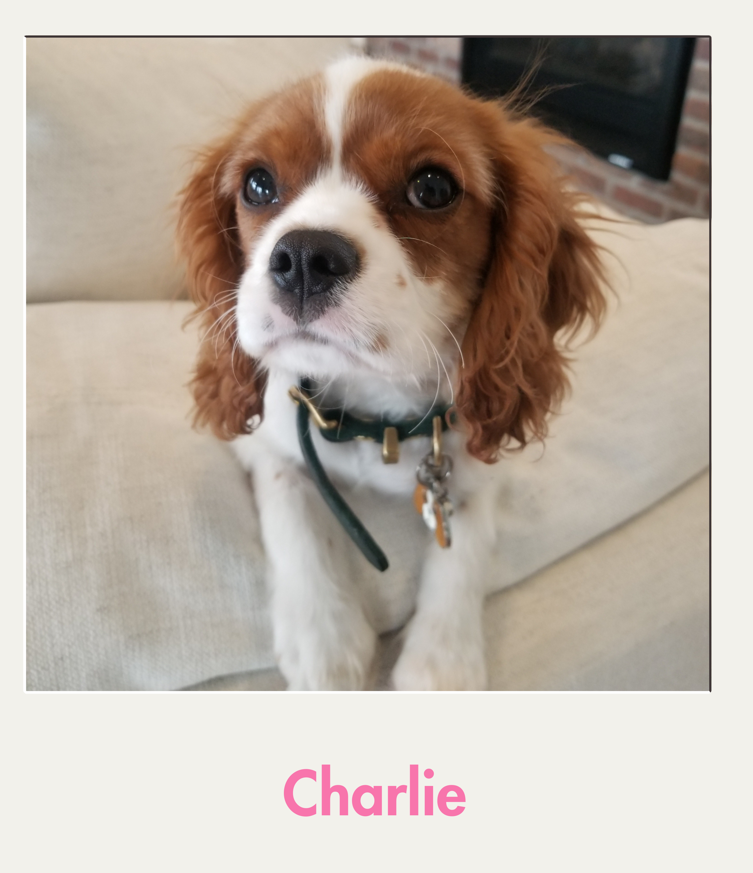 Charlie.png