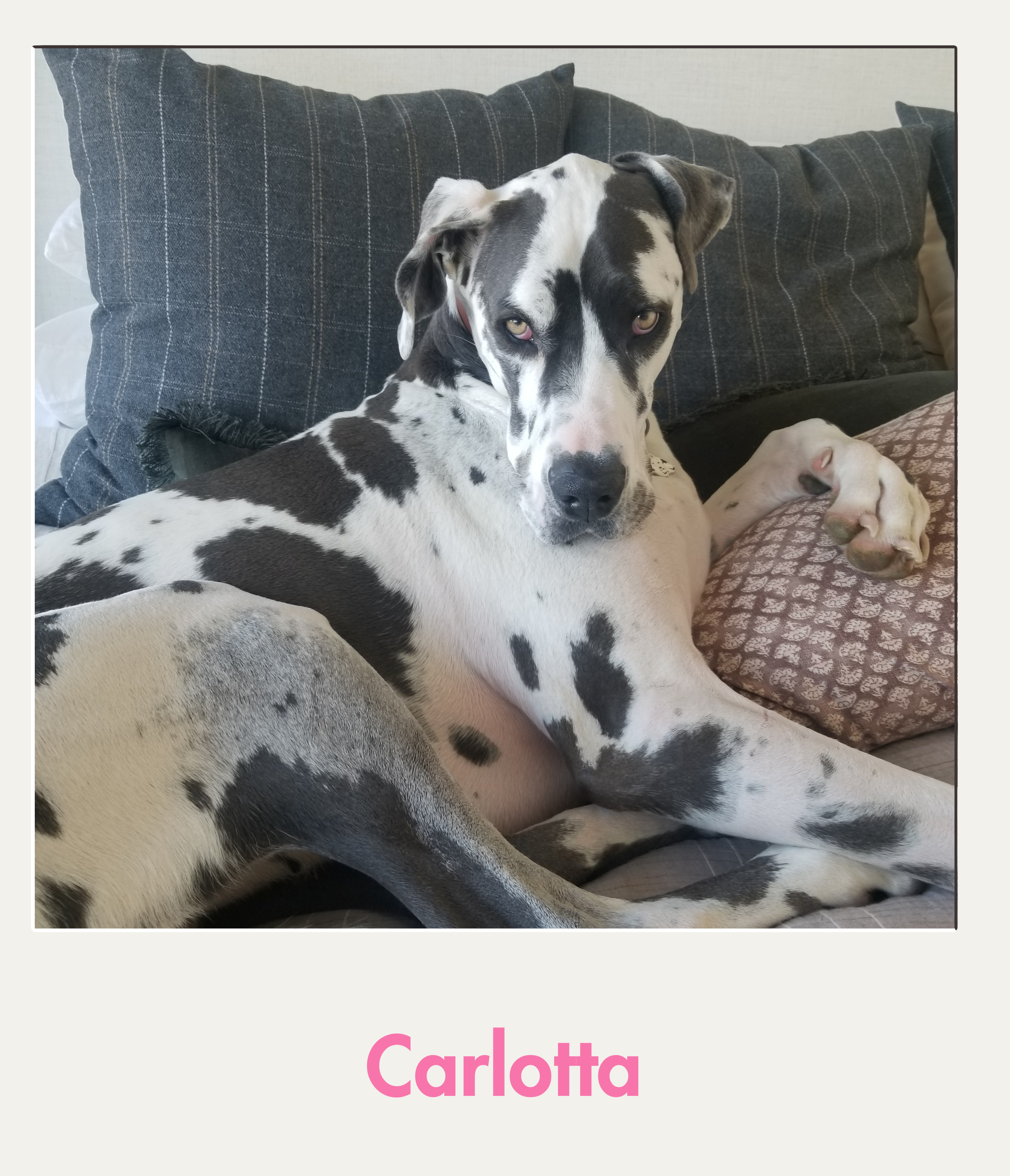 Carlotta.png