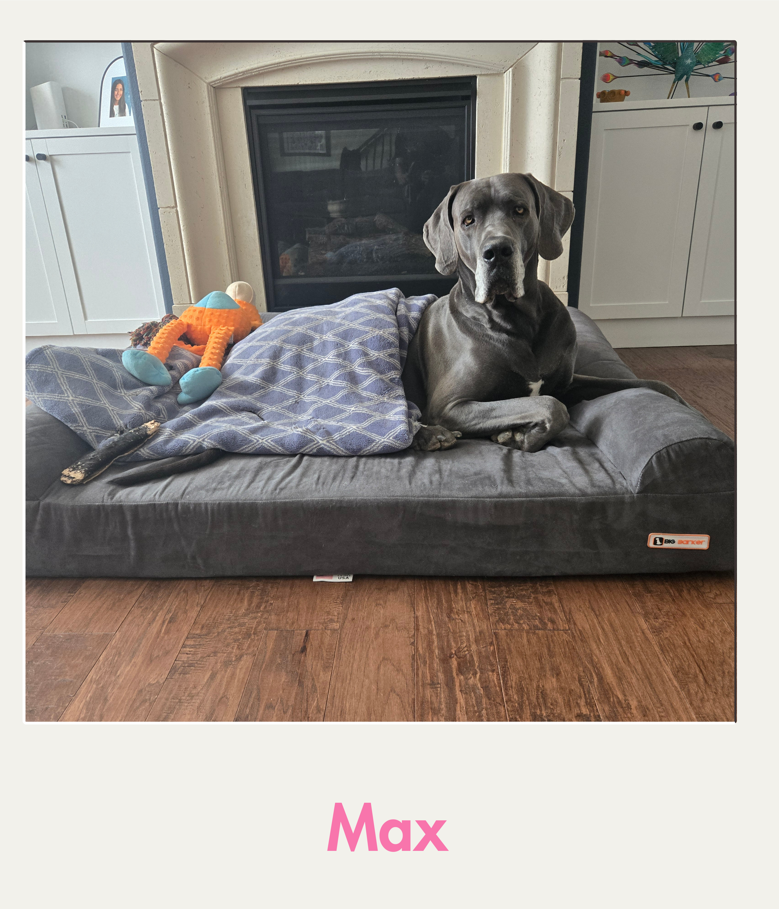 Max.png