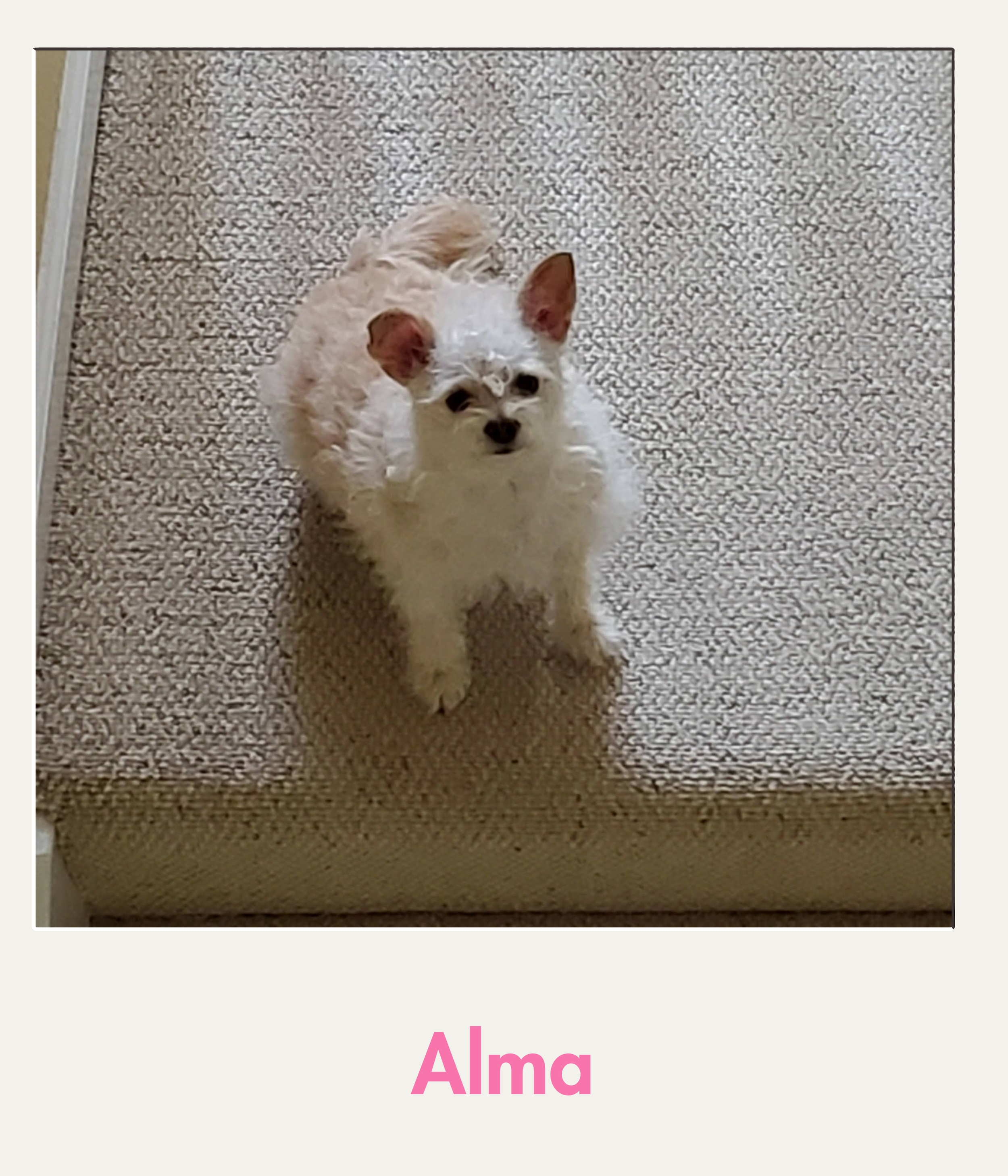 Alma.png