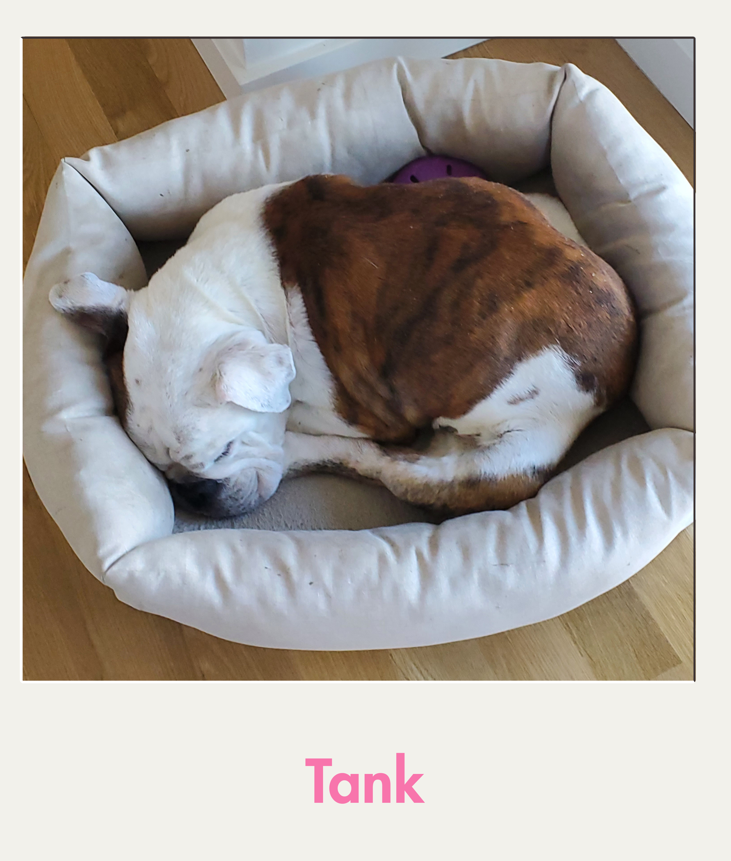 Tank.png