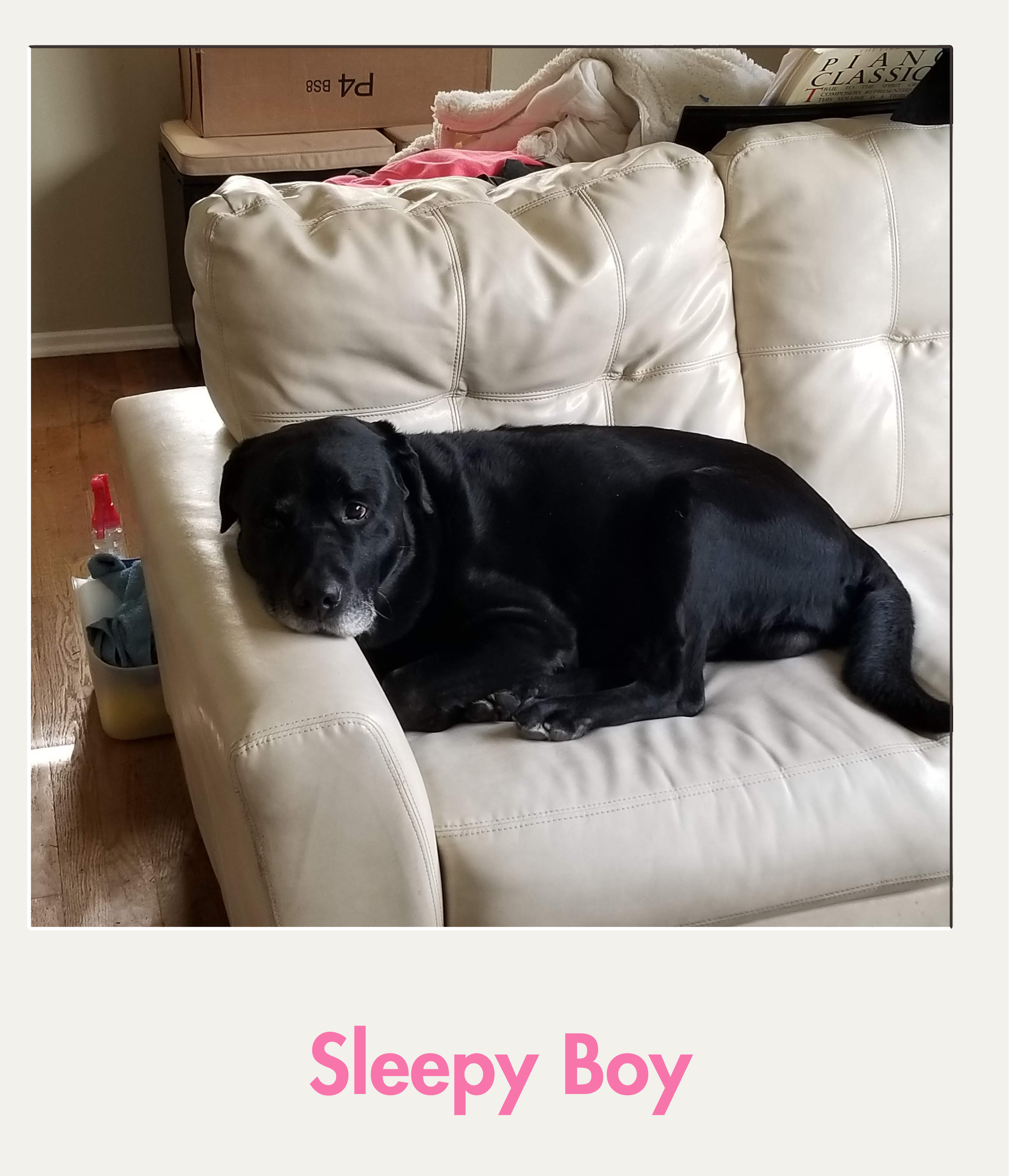 Sleepy boy.png