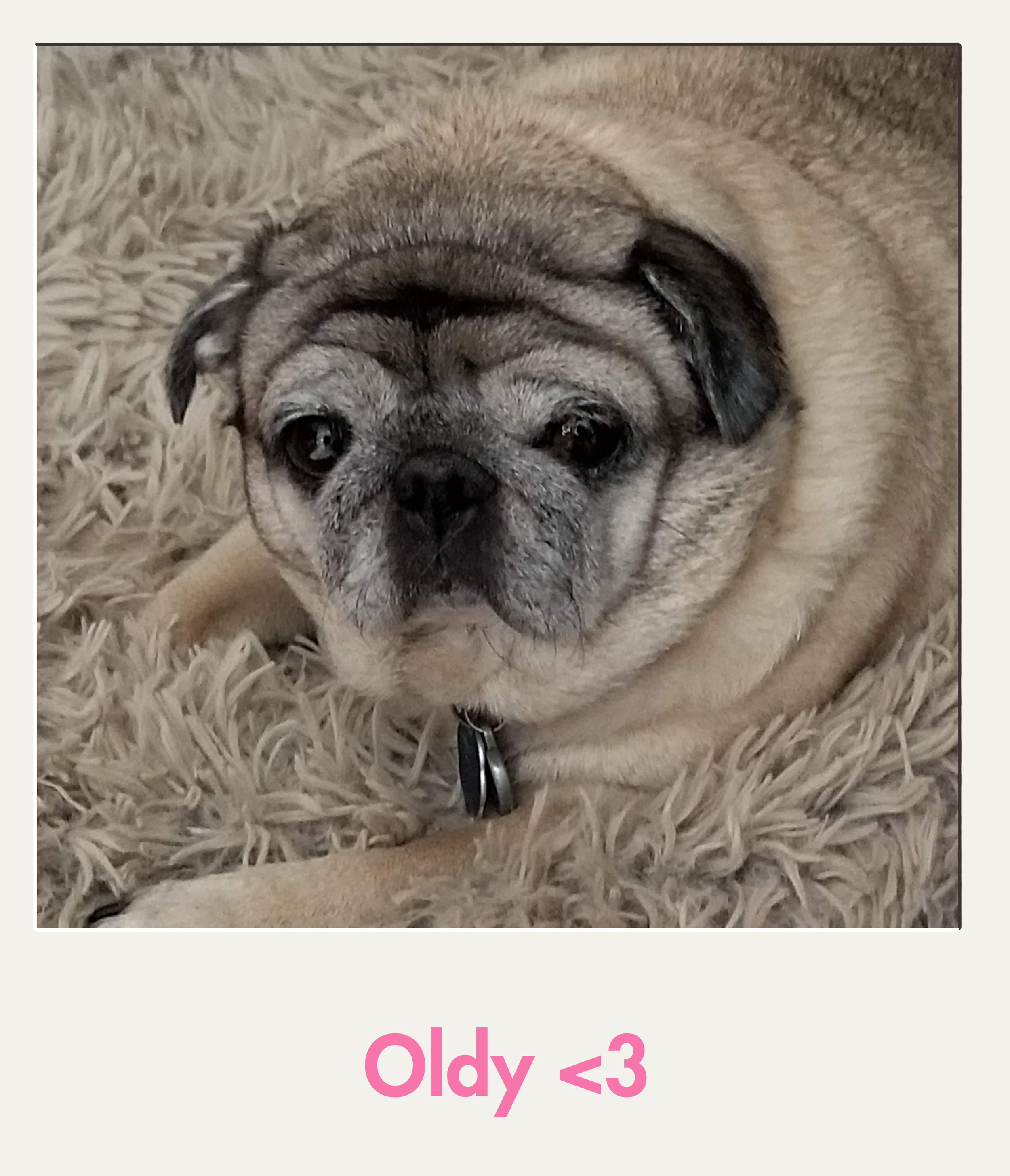 Oldy.png