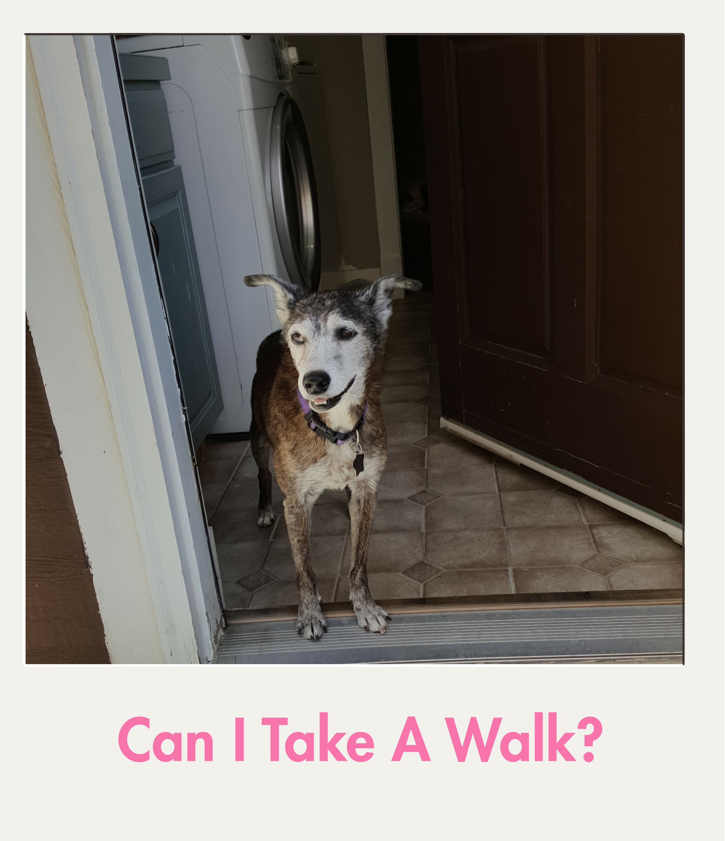 Can i take a walk.png