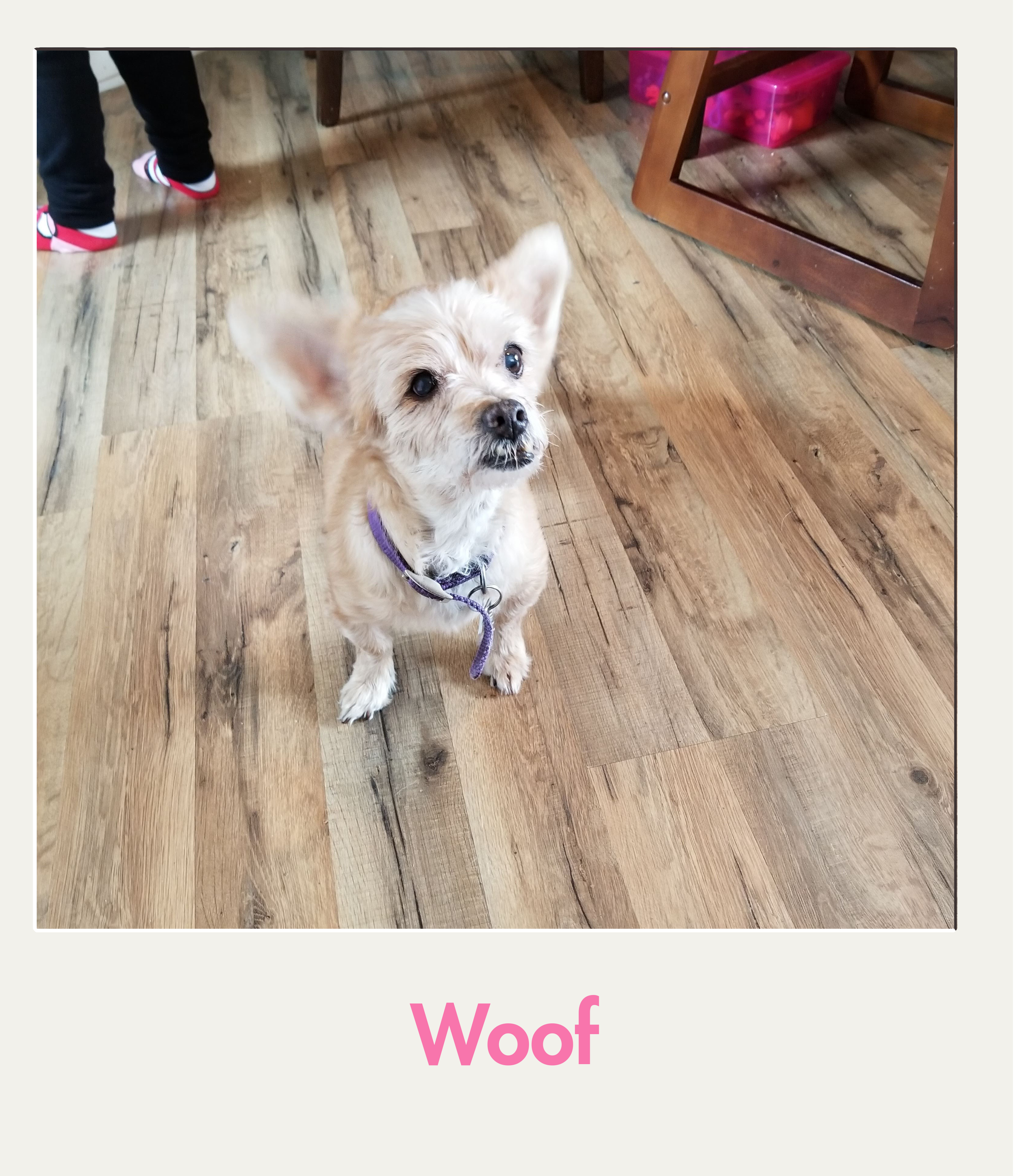 Woof.png