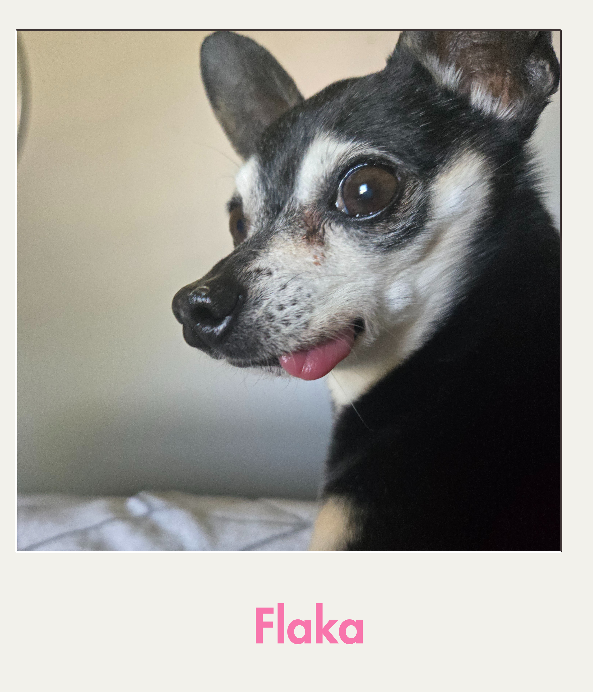 Flaka.png