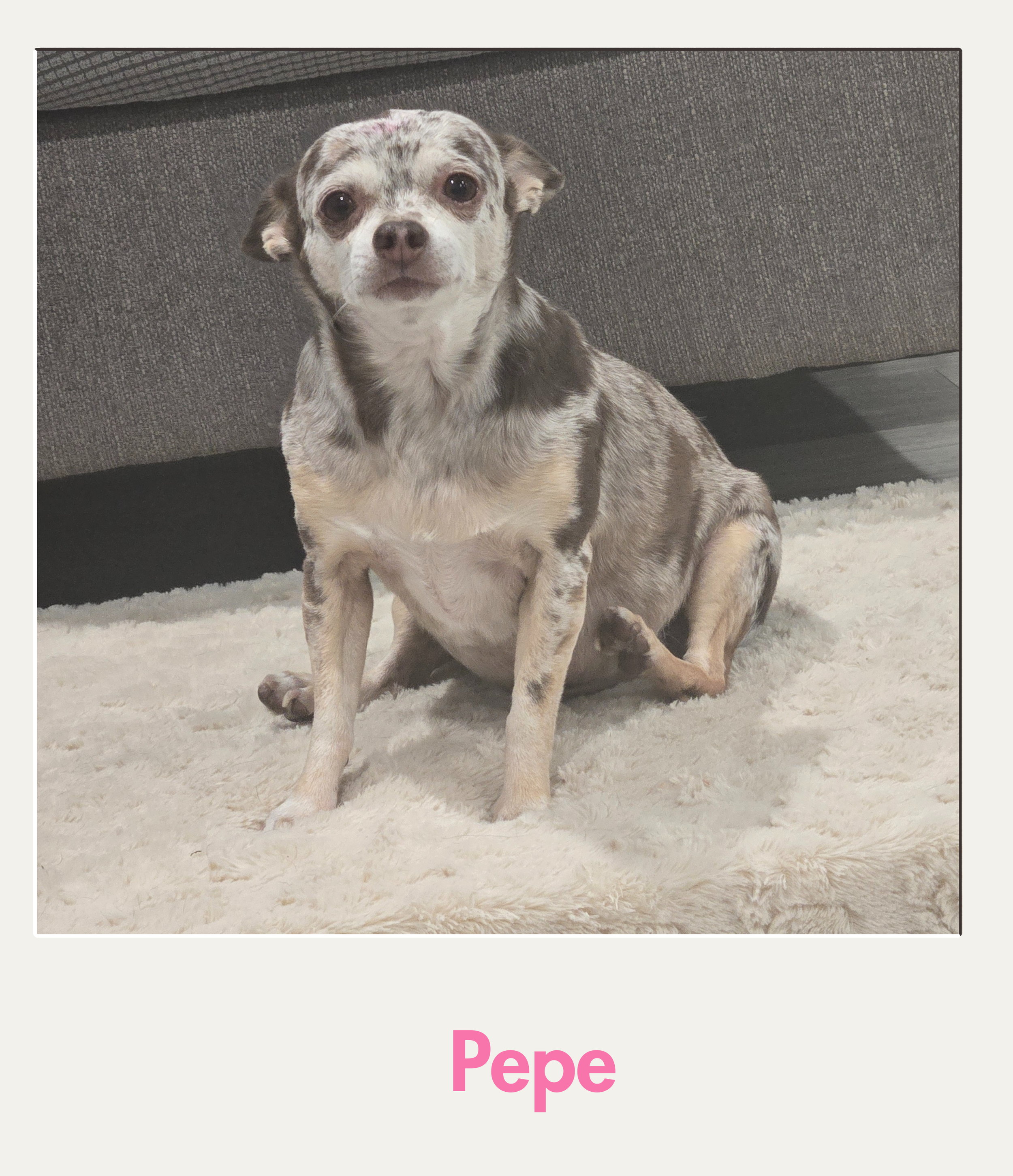 Pepe.png