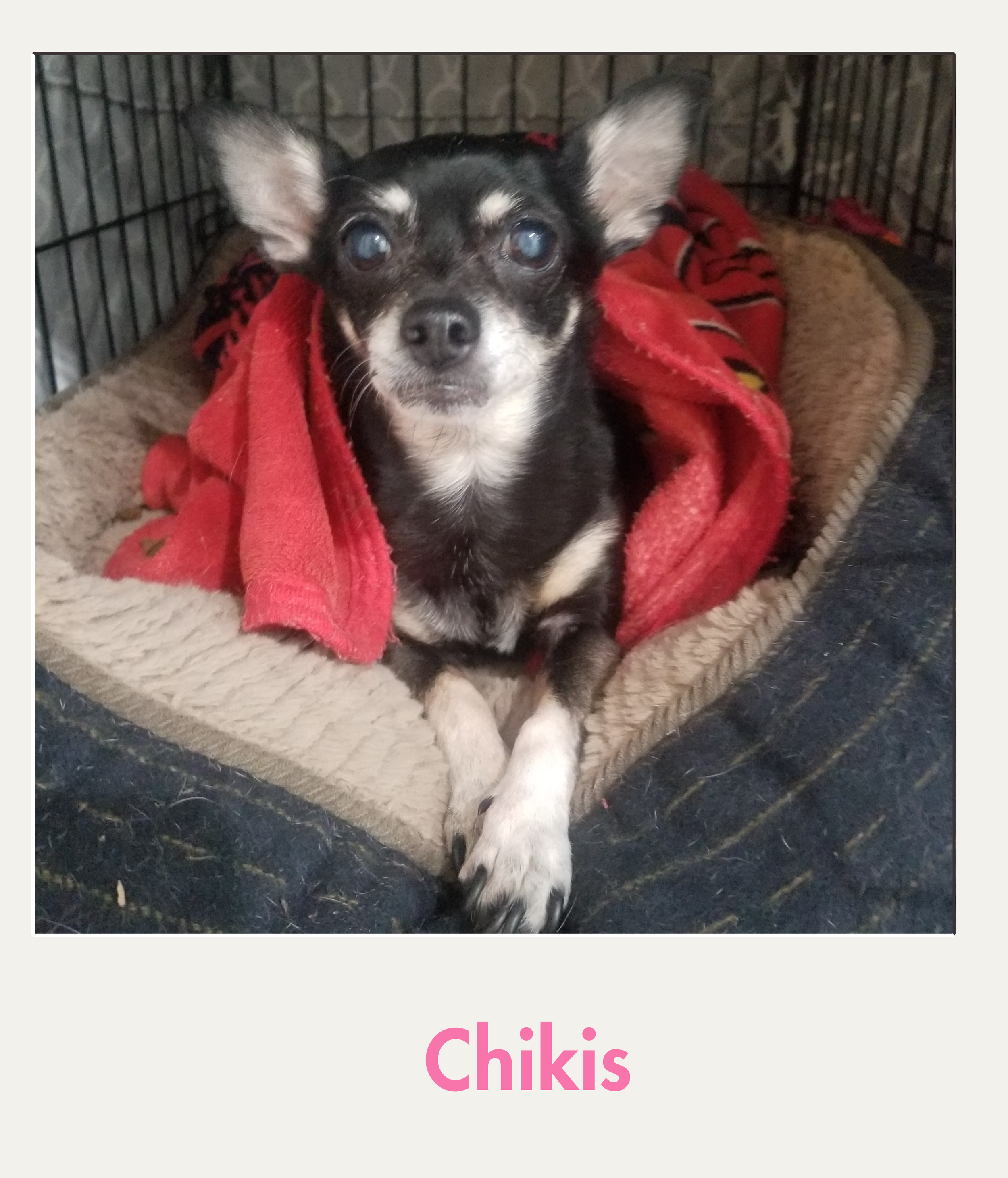 Chikis.png