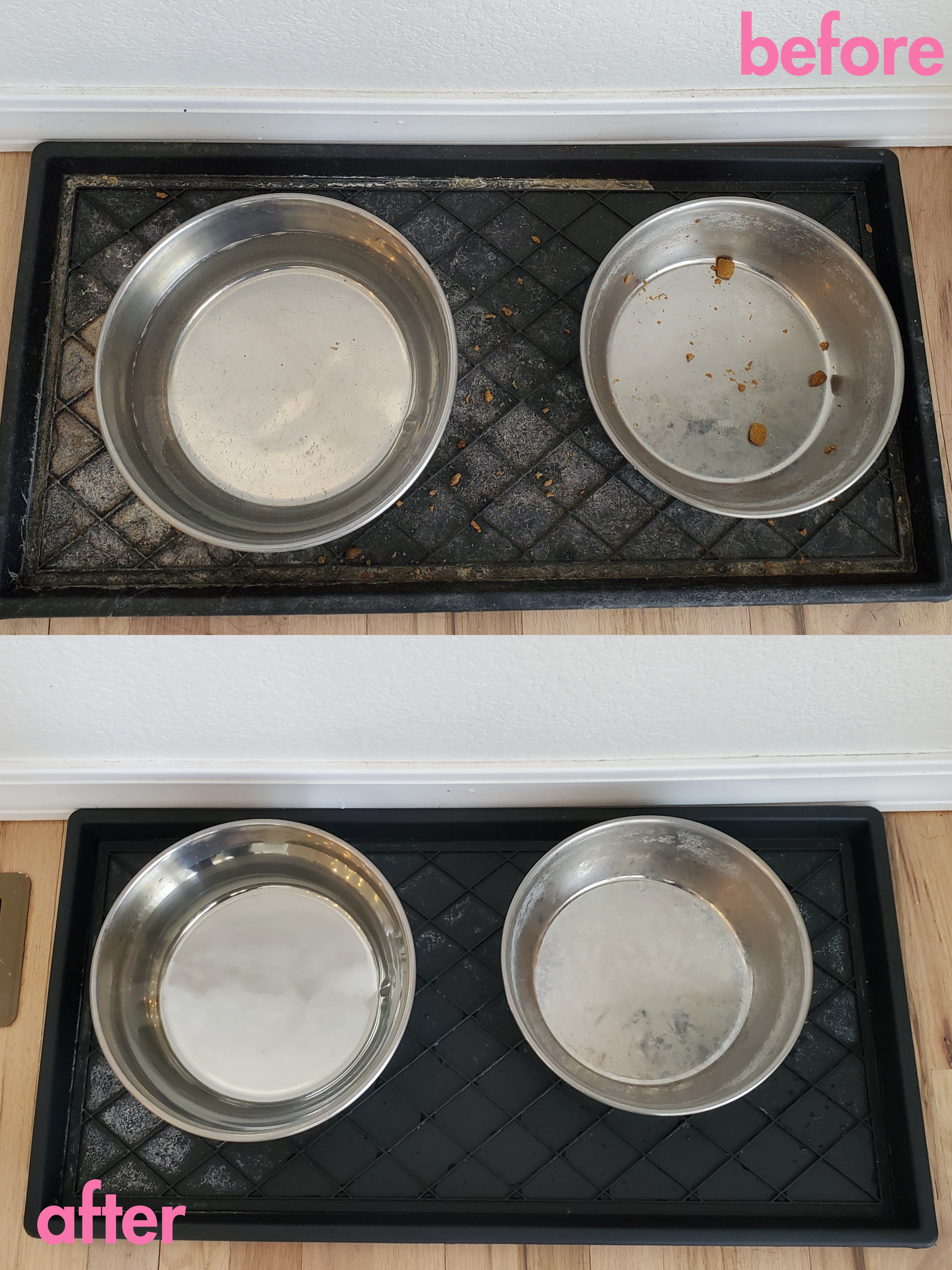 ba dog bowls.png