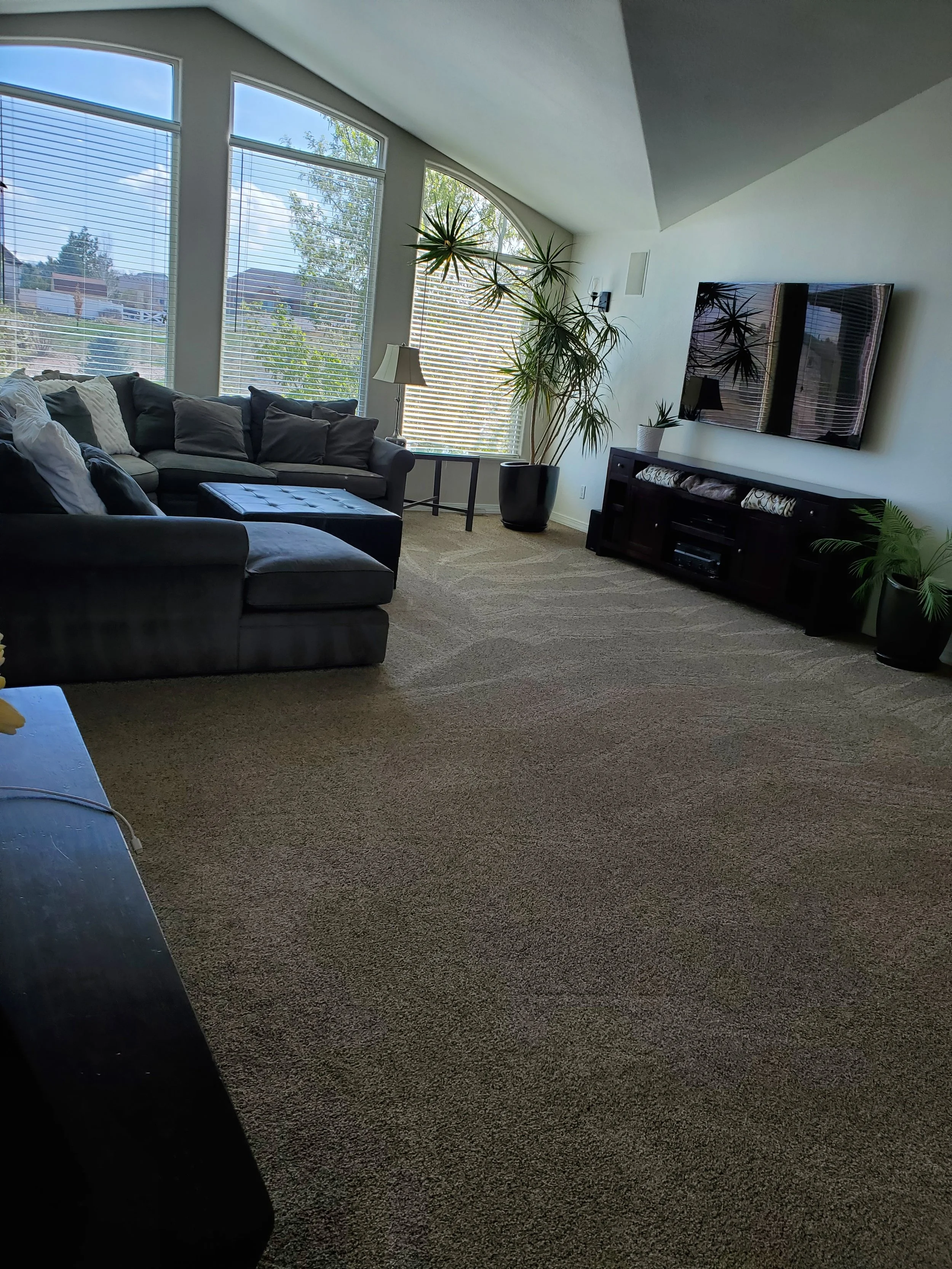 Living Room Vaccum Marks.jpg