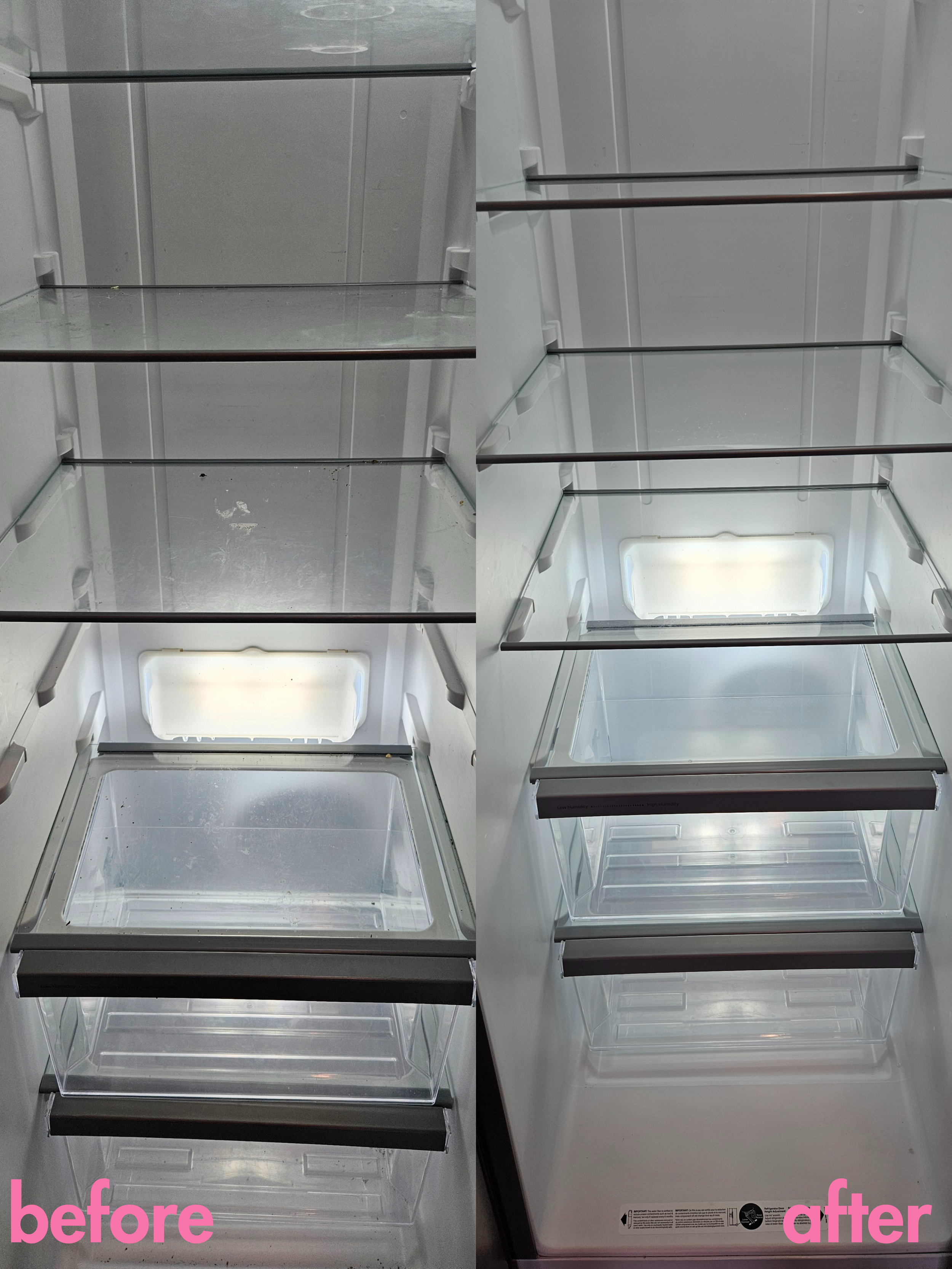 ba inside fridge .png