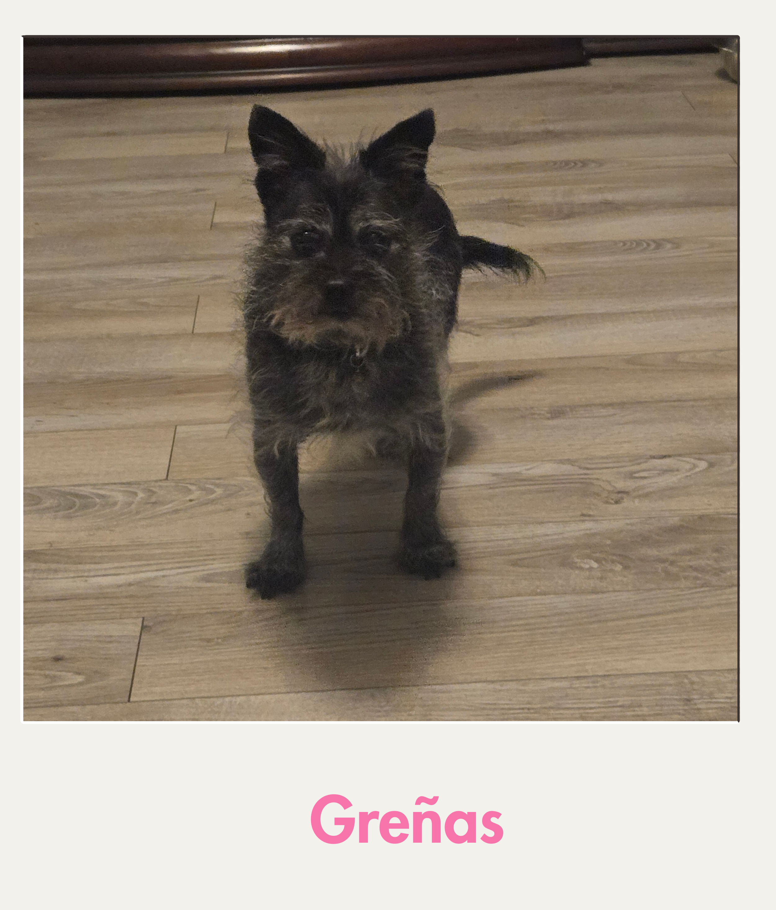 grenas.png