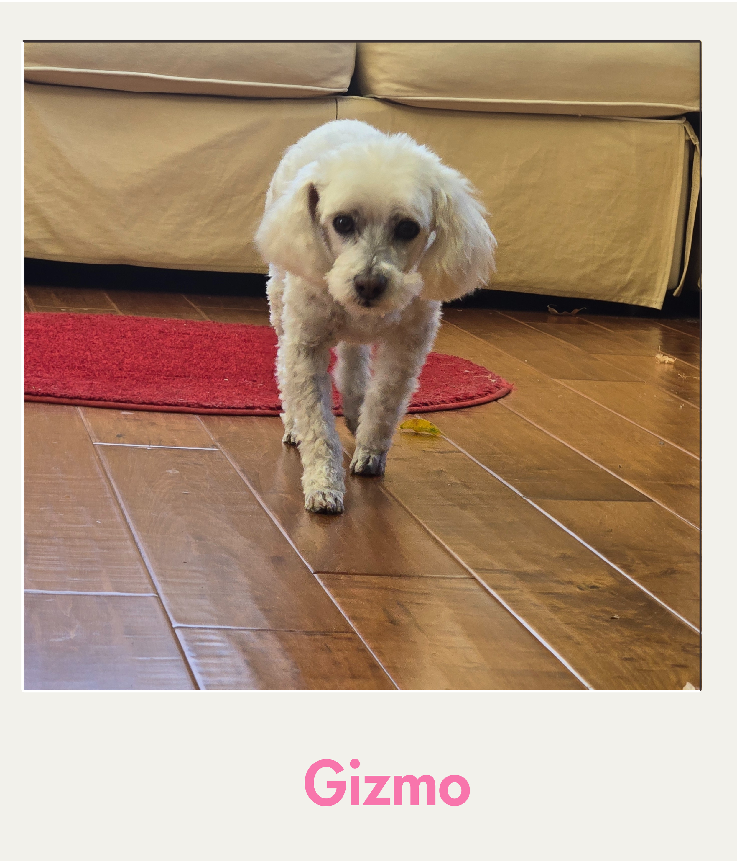 gizmo.png