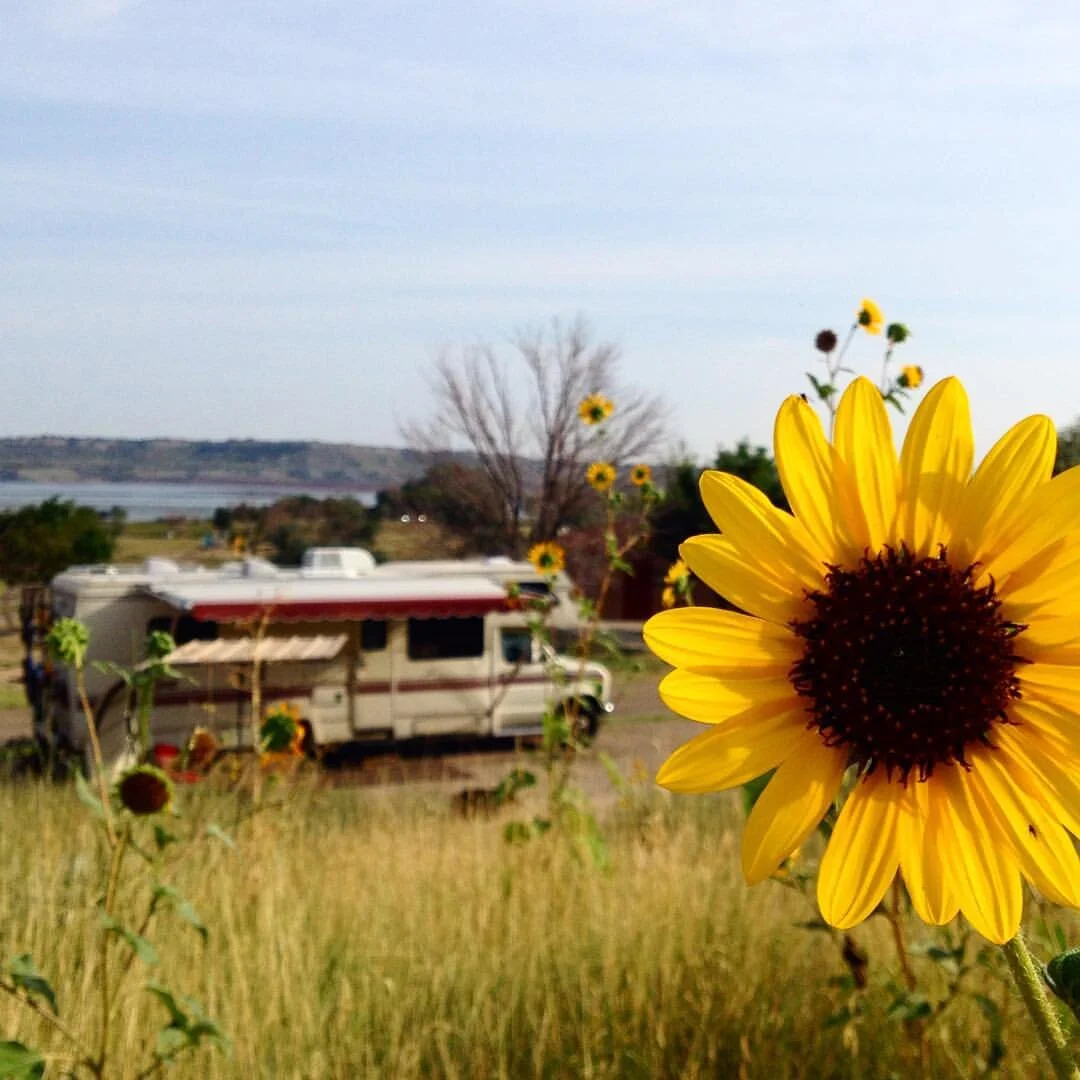 Milly, our RV, parked in Colorado. (2015)
