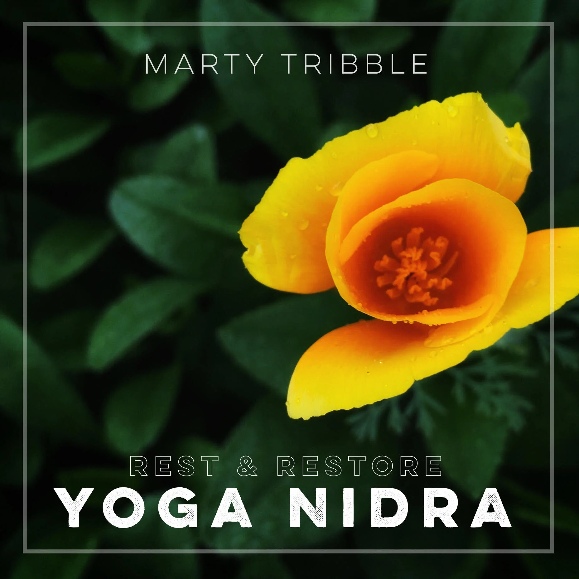 CoverArt_Rest&RestoreYogaNidra_MartyTribble.jpg