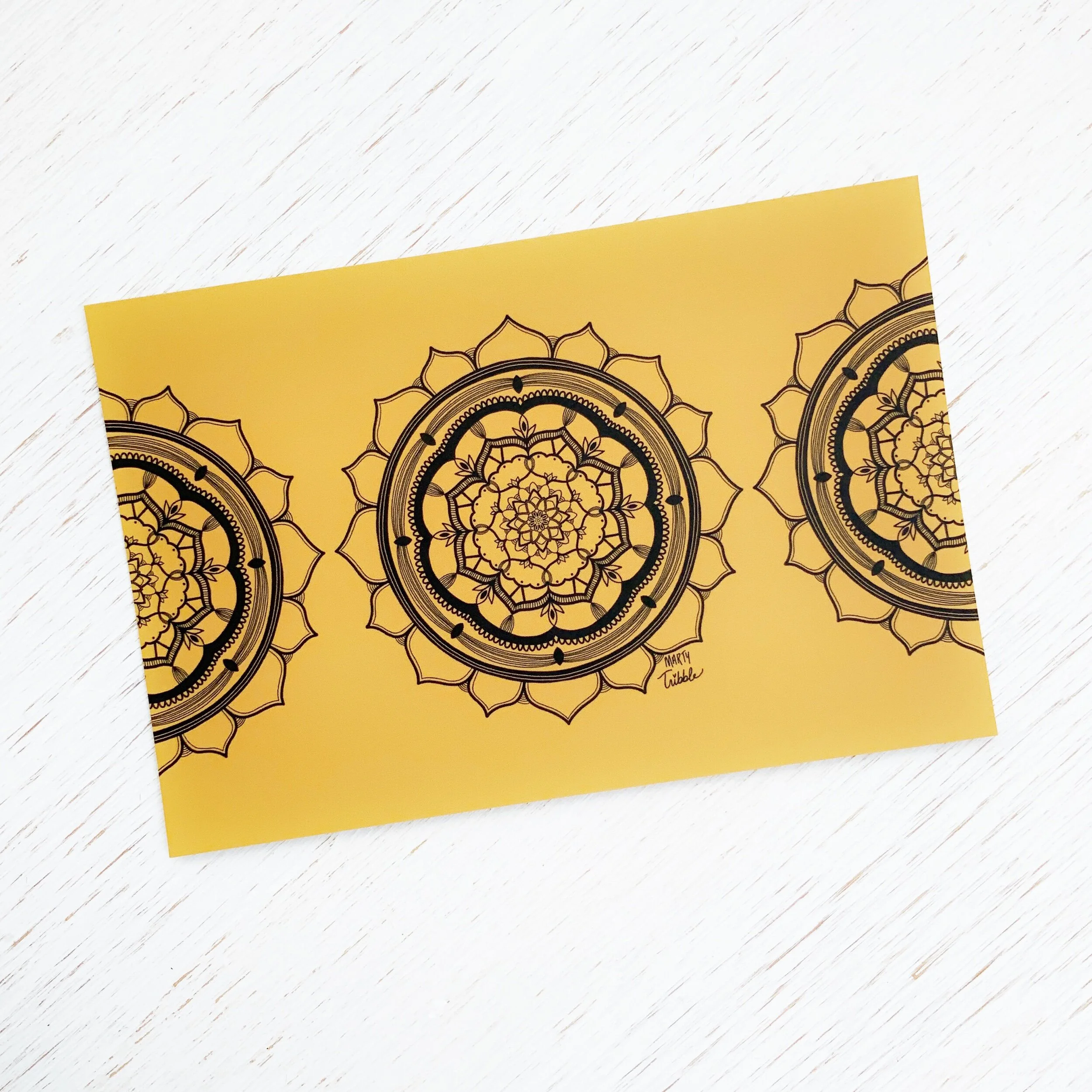 E717C80F-7844-4D45-B748-66C5F6132676