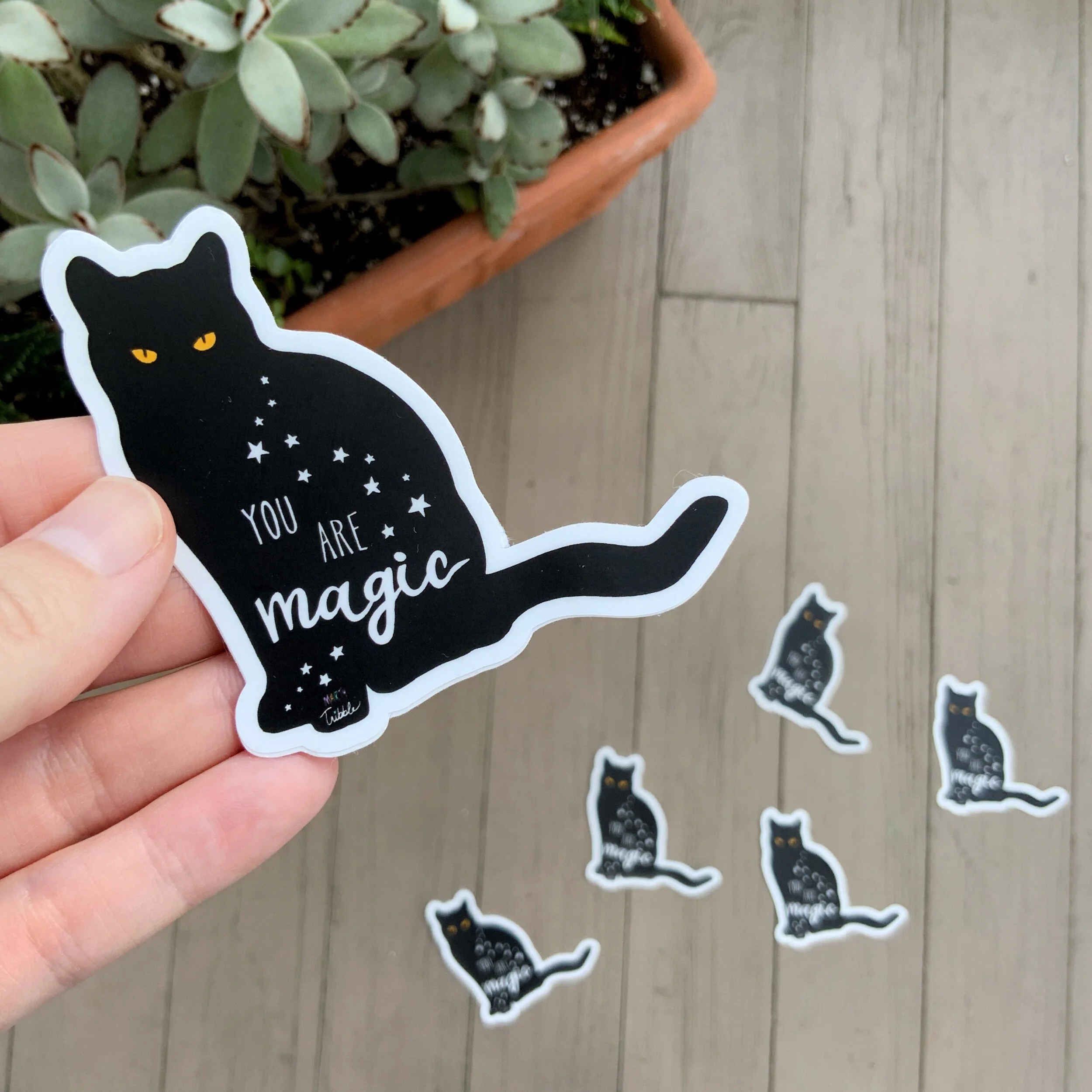 0E2B29DF-B20E-4024-8B49-ADE9BF87803D