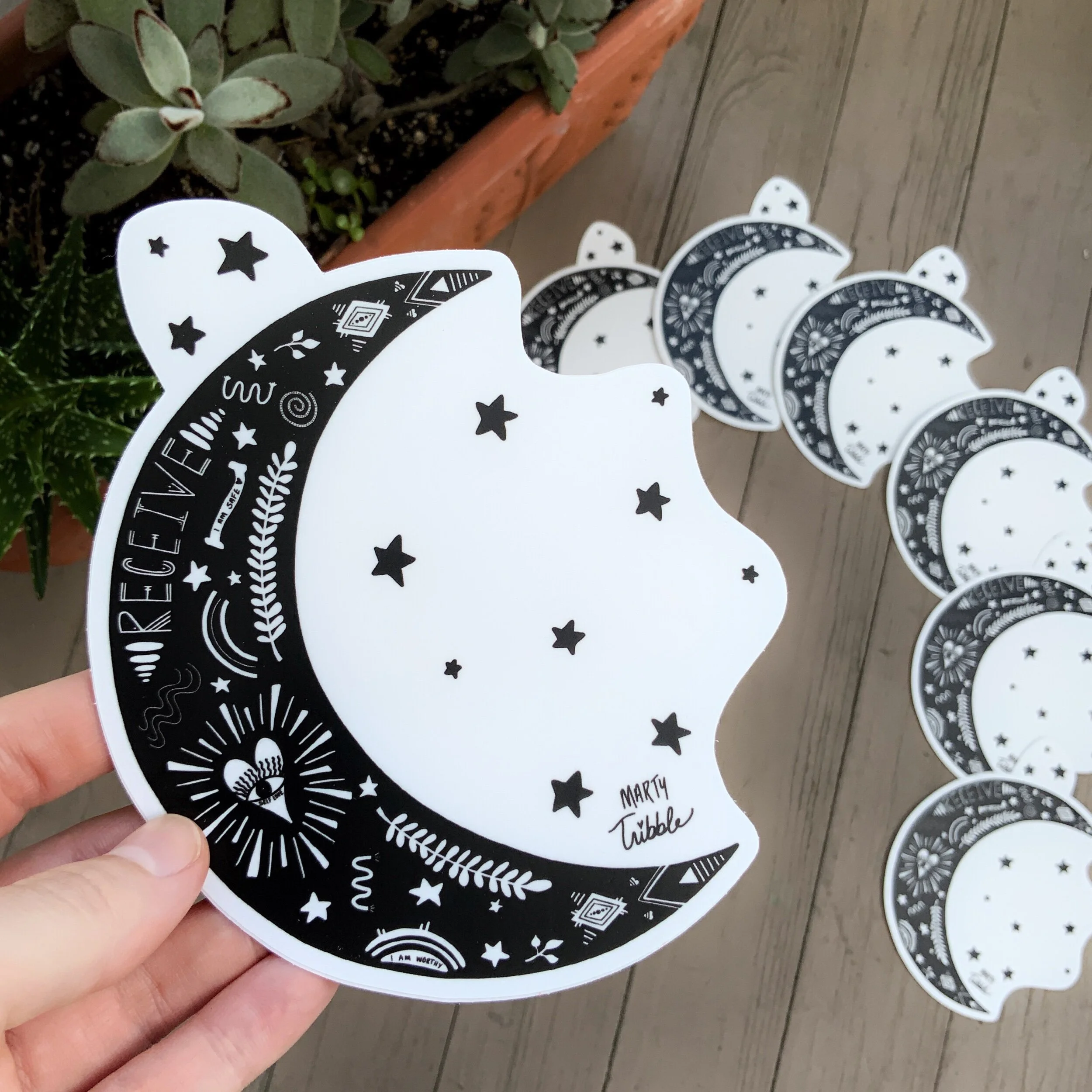 D6EE2AF1-698E-4DF9-9EE6-3190B78D9D6E