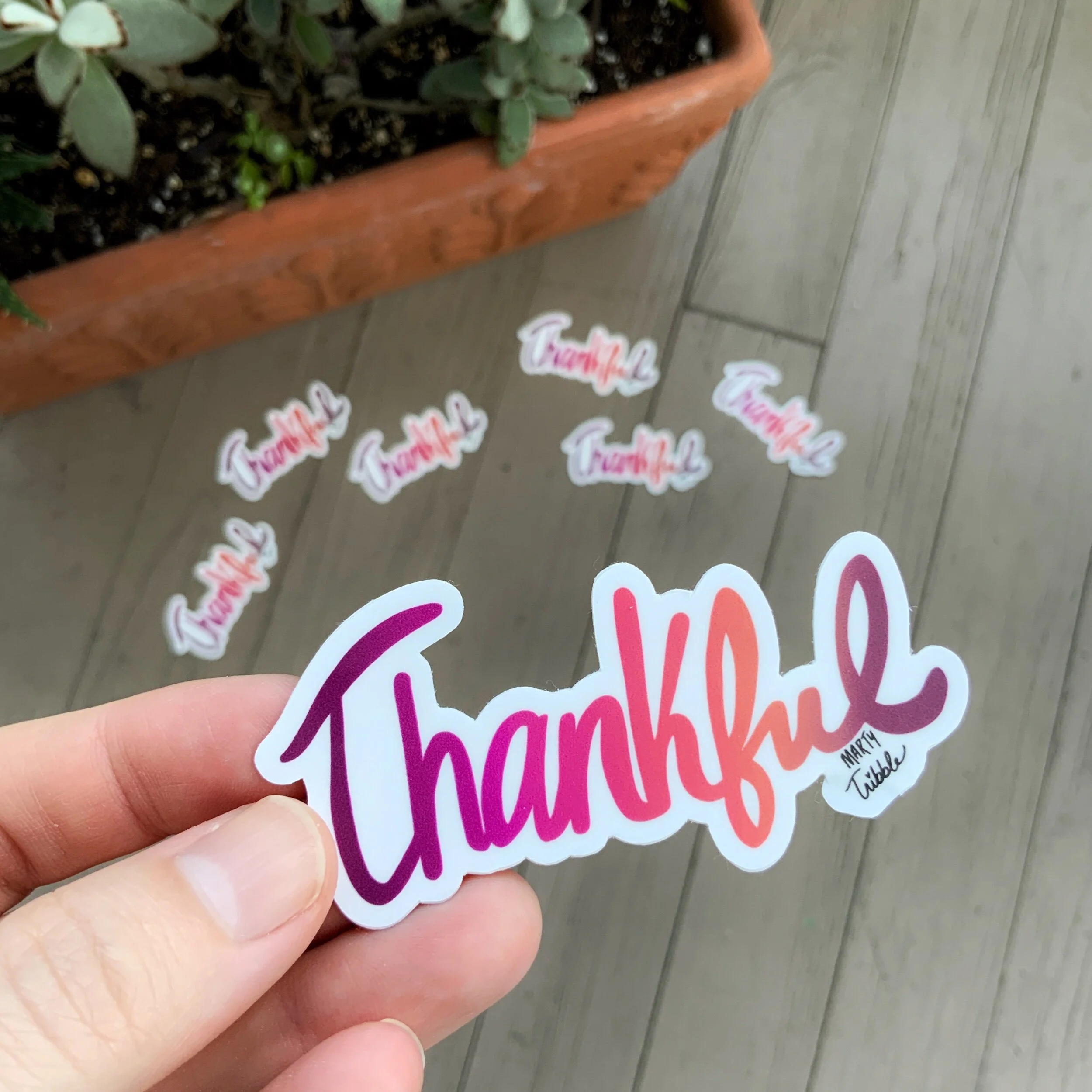 74D09A68-84F2-46A2-A6E8-D849C25763AD